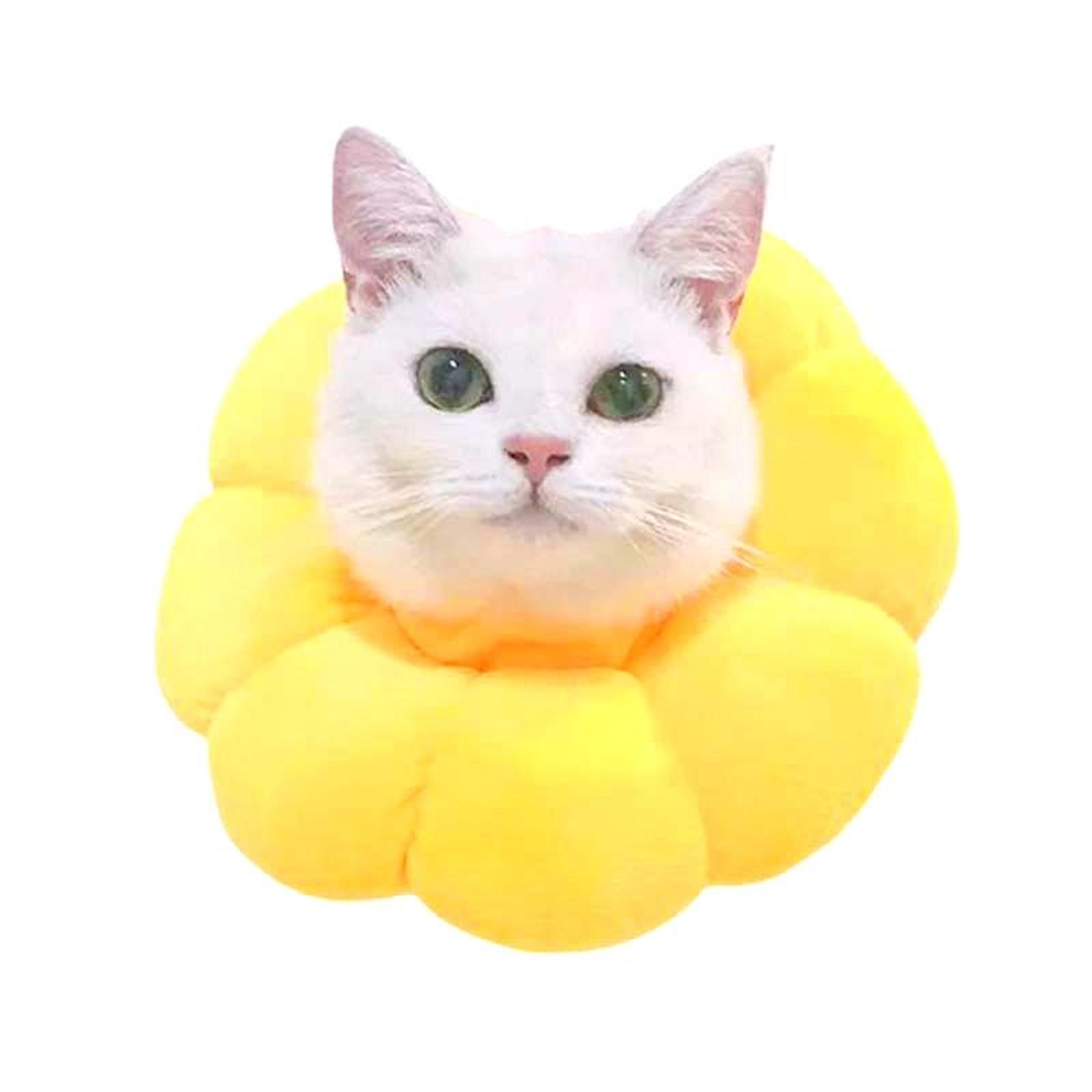 Soft Cat Recovery Collar Anti Bite Ring For Cats And Small Dogs 4