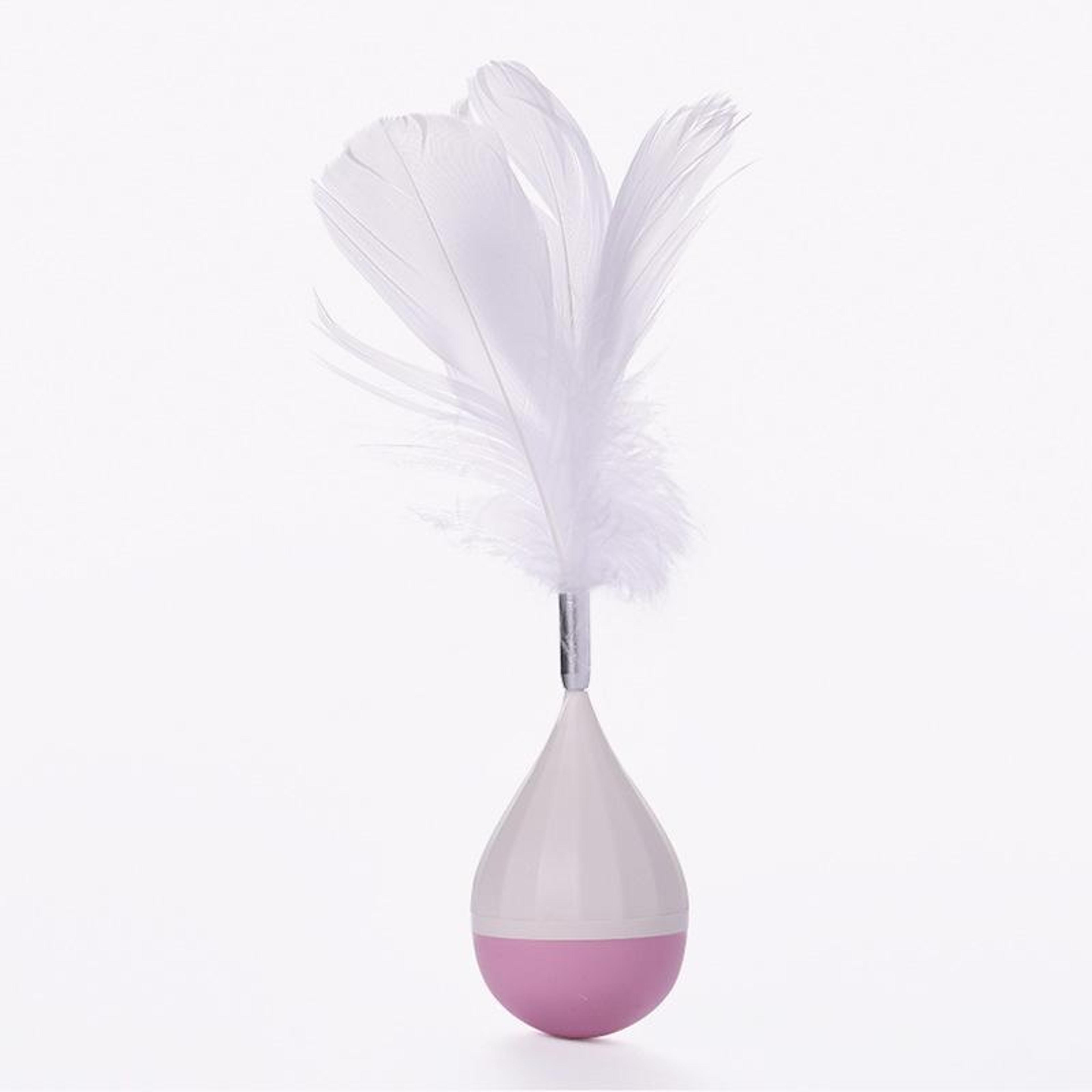 Interactive Feather Tumbler Cat Toy For Boredom Relief 7