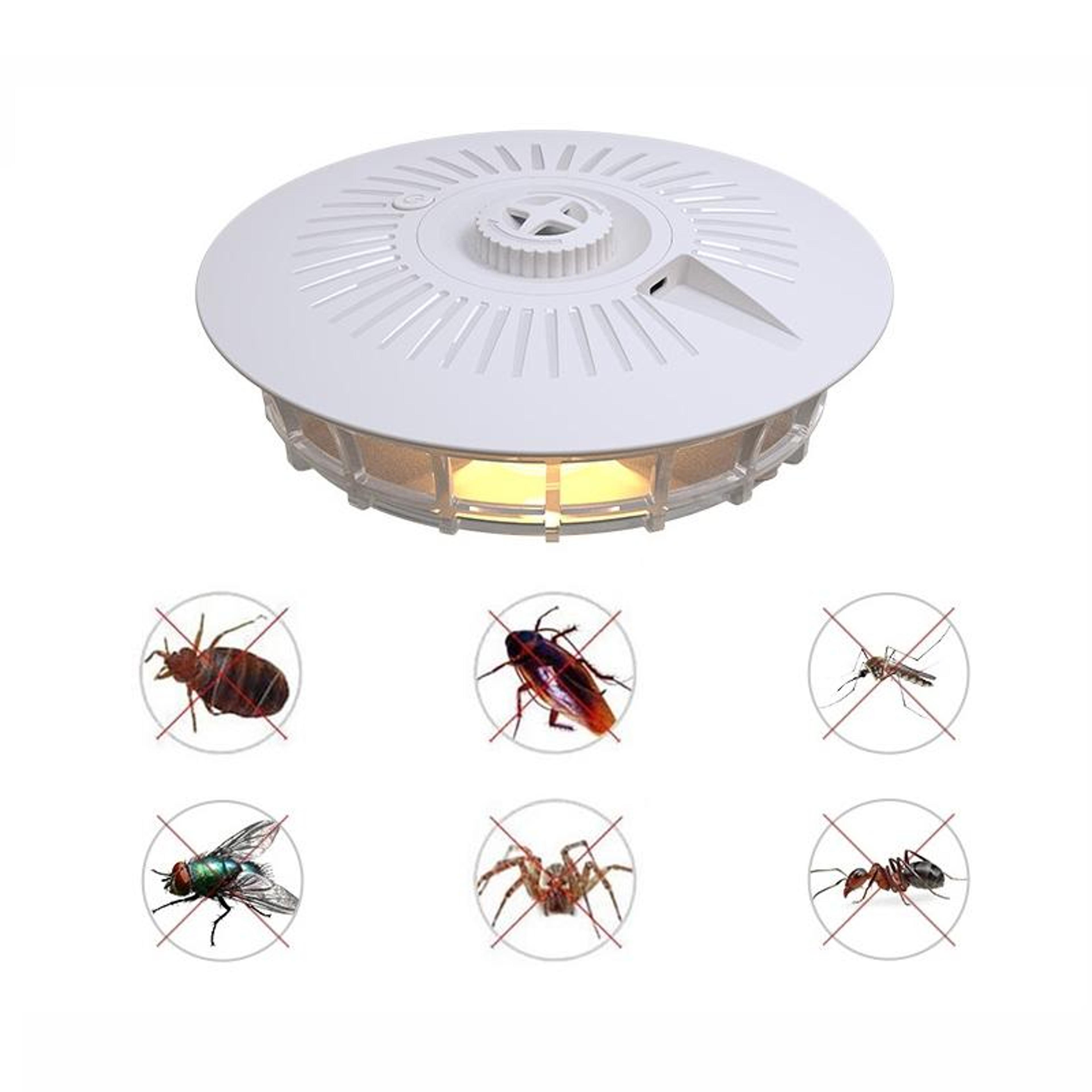 Non Toxic Cockroach Catcher For Kitchen  Toilet Safe Insect Trap 9