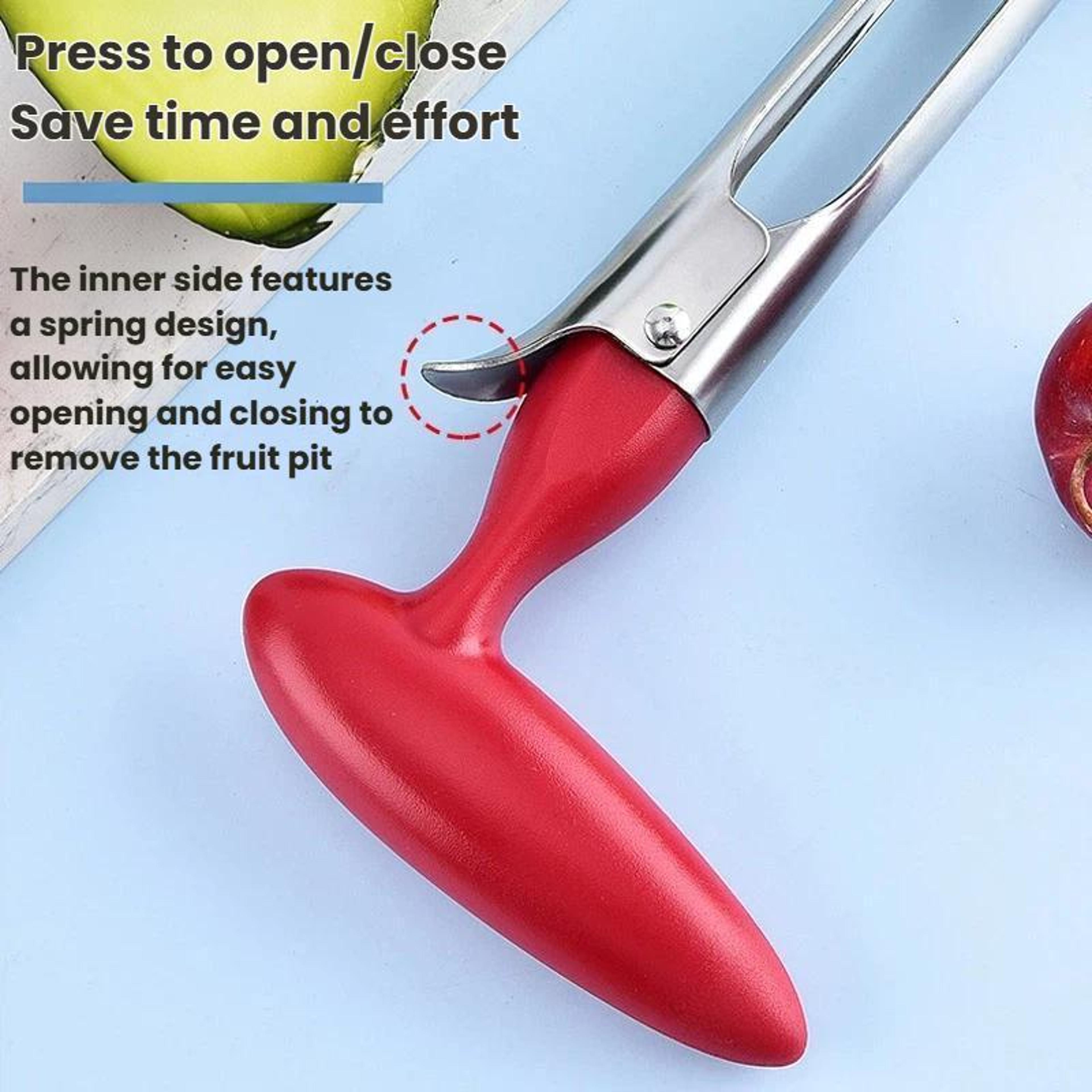 Stainless Steel Fruit Corer With Plastic Handle Apple Core Remover For Apples And Pears 2