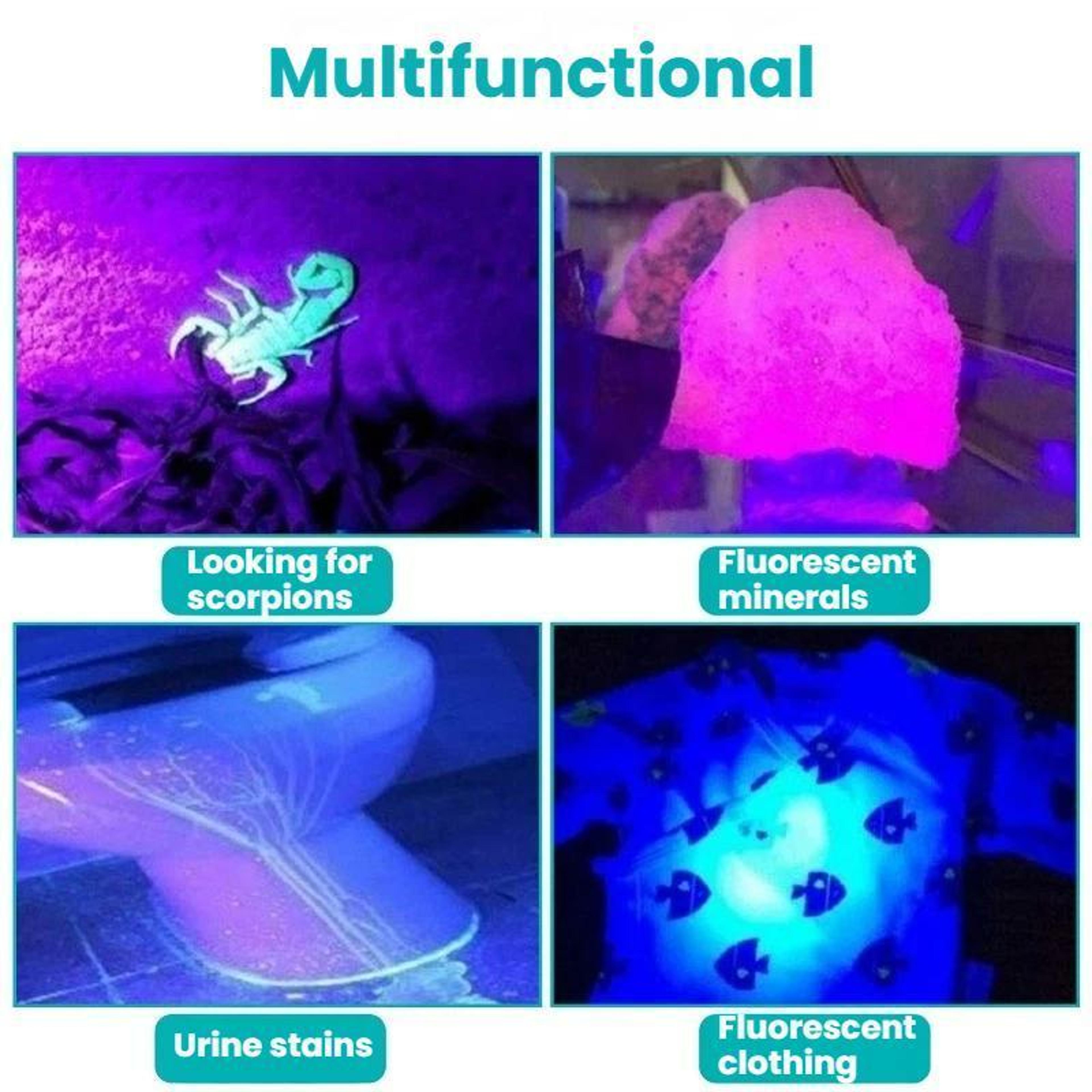 LED Aluminum Alloy UV Flashlight Banknote Detector 4