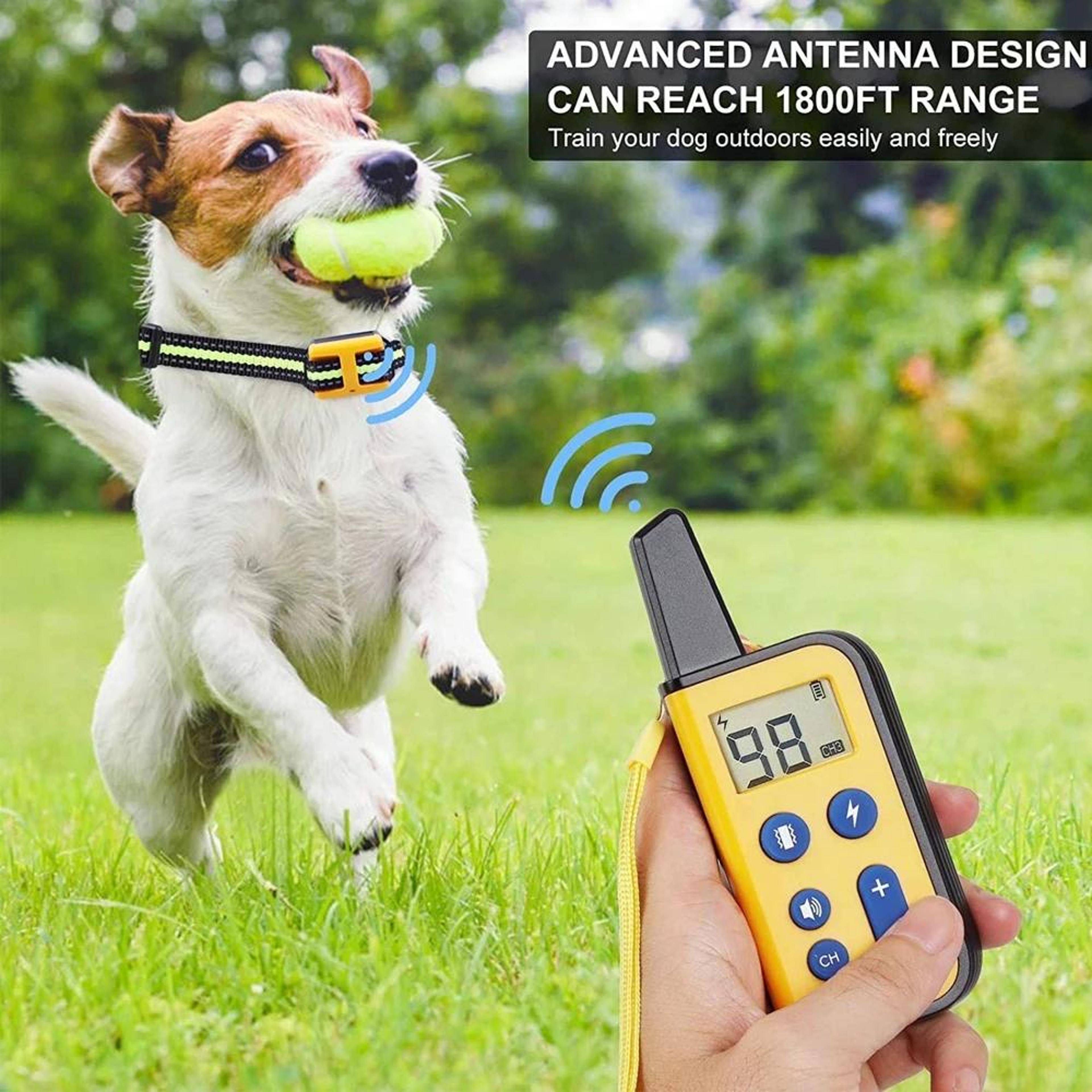 Premium Dog Trainer Remote Dog Training Collar With Adjustable Shock  Vibration 2