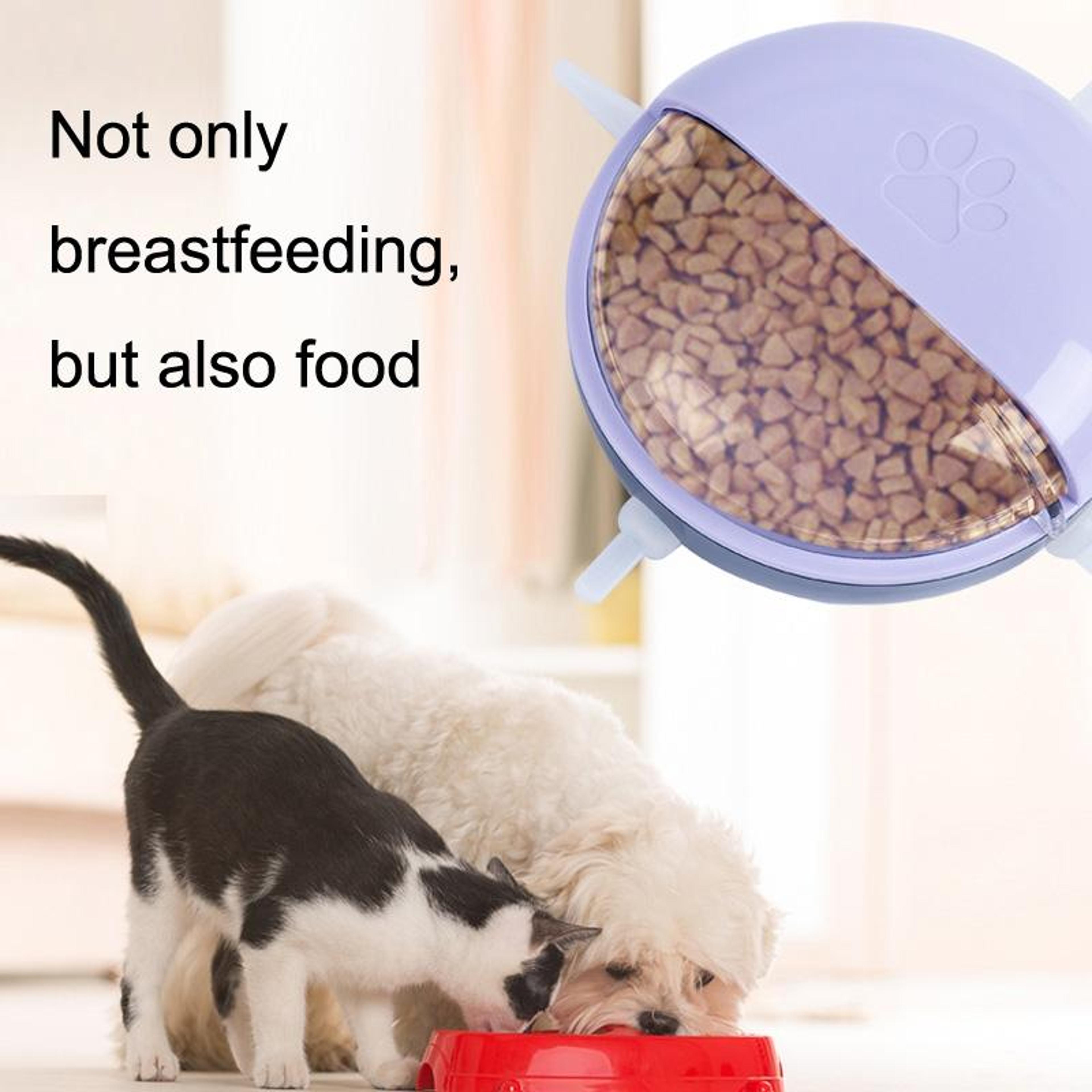Interactive Multi Mouth Self Feeding Pet Nursing Bowl Puppy Nipple Feeder Solution 4