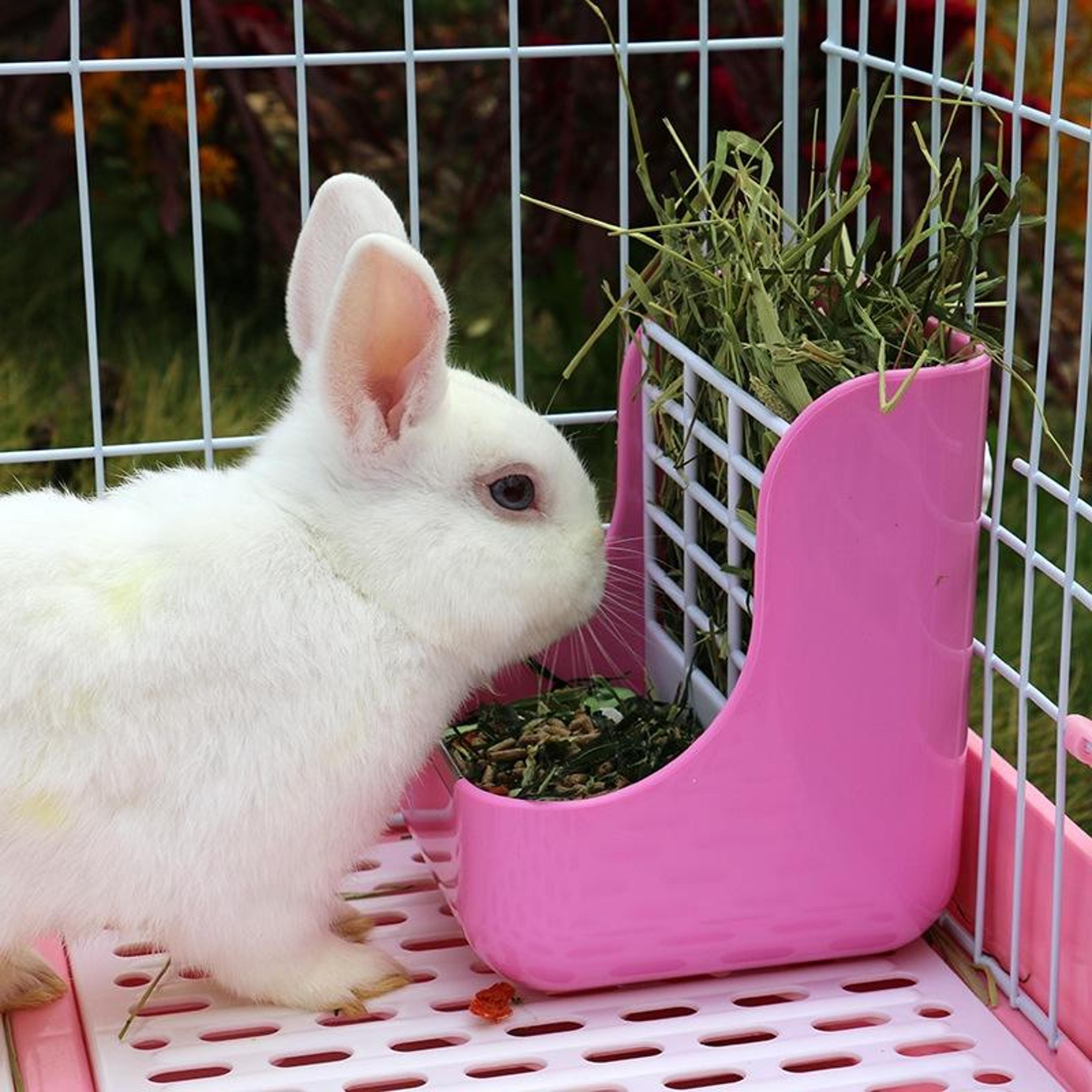 Premium Rabbit Feeder  Guinea Pig Food Box Space Saving Small Animal Hay Feeder 1