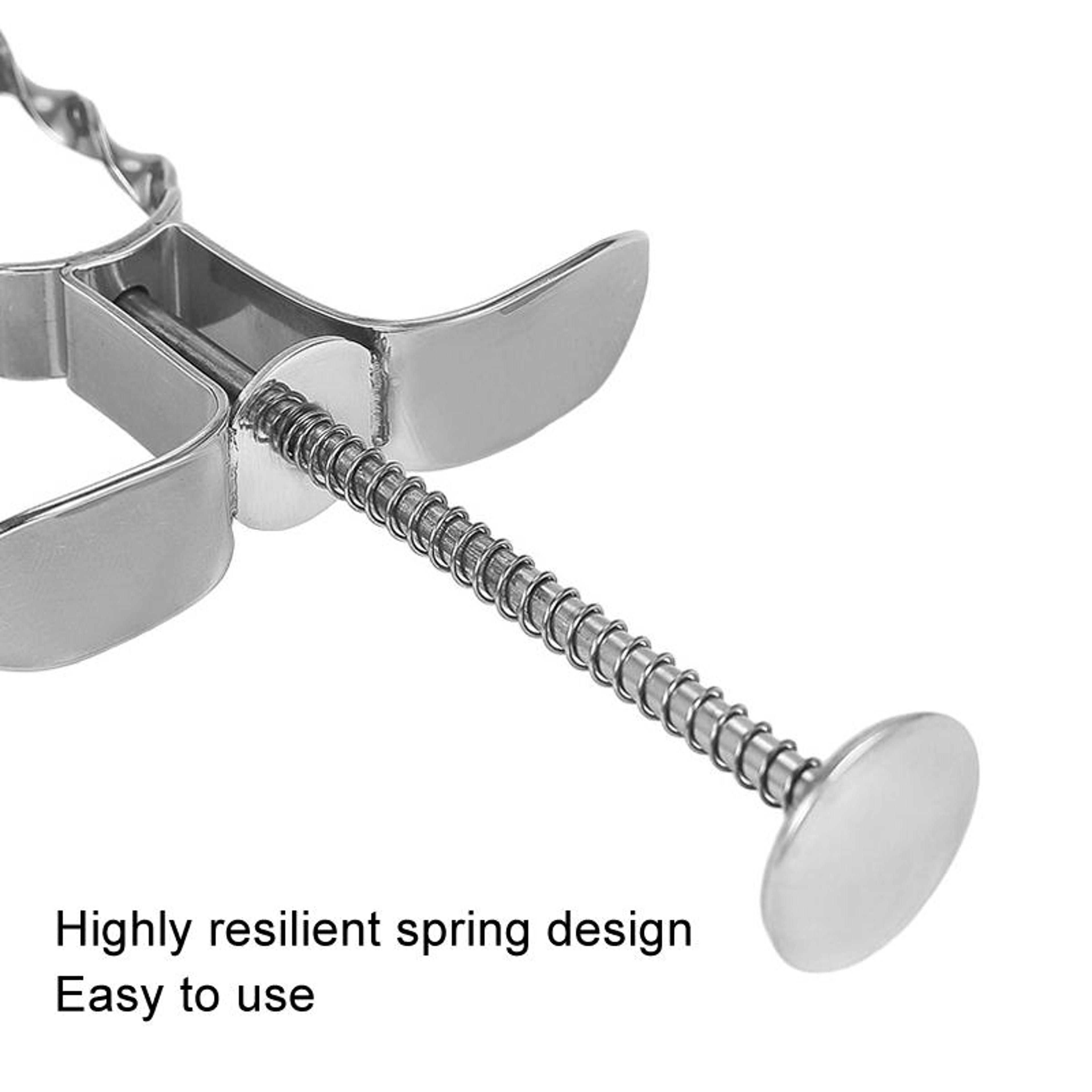 Stainless Steel Date  Cherry Pitter Tool Easy Fruit Seed Remover For Jujube Cherry  More 4