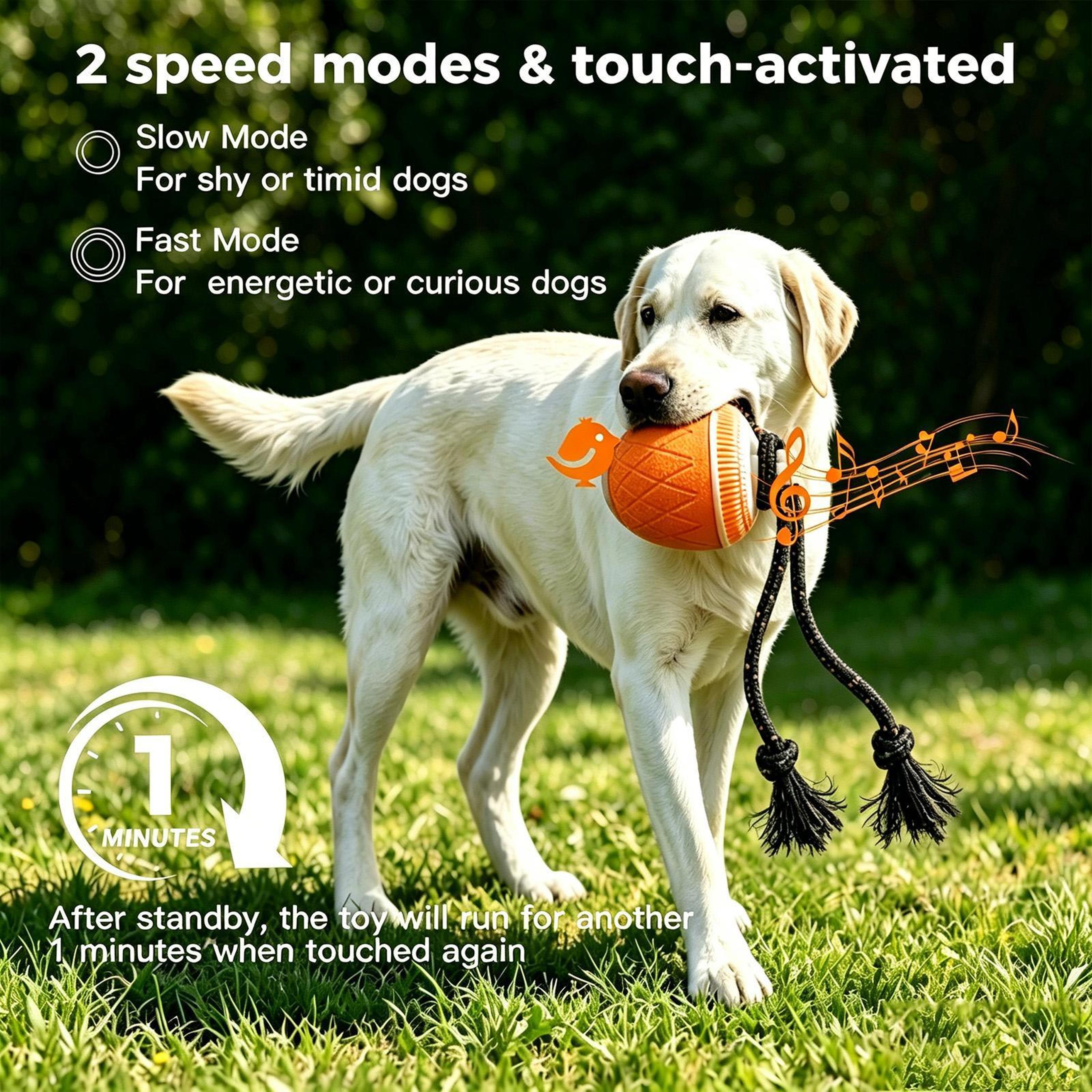 Interactive Automatic Dog Toy Ball With Rope Lights And Sound For Smart Pet Training 11