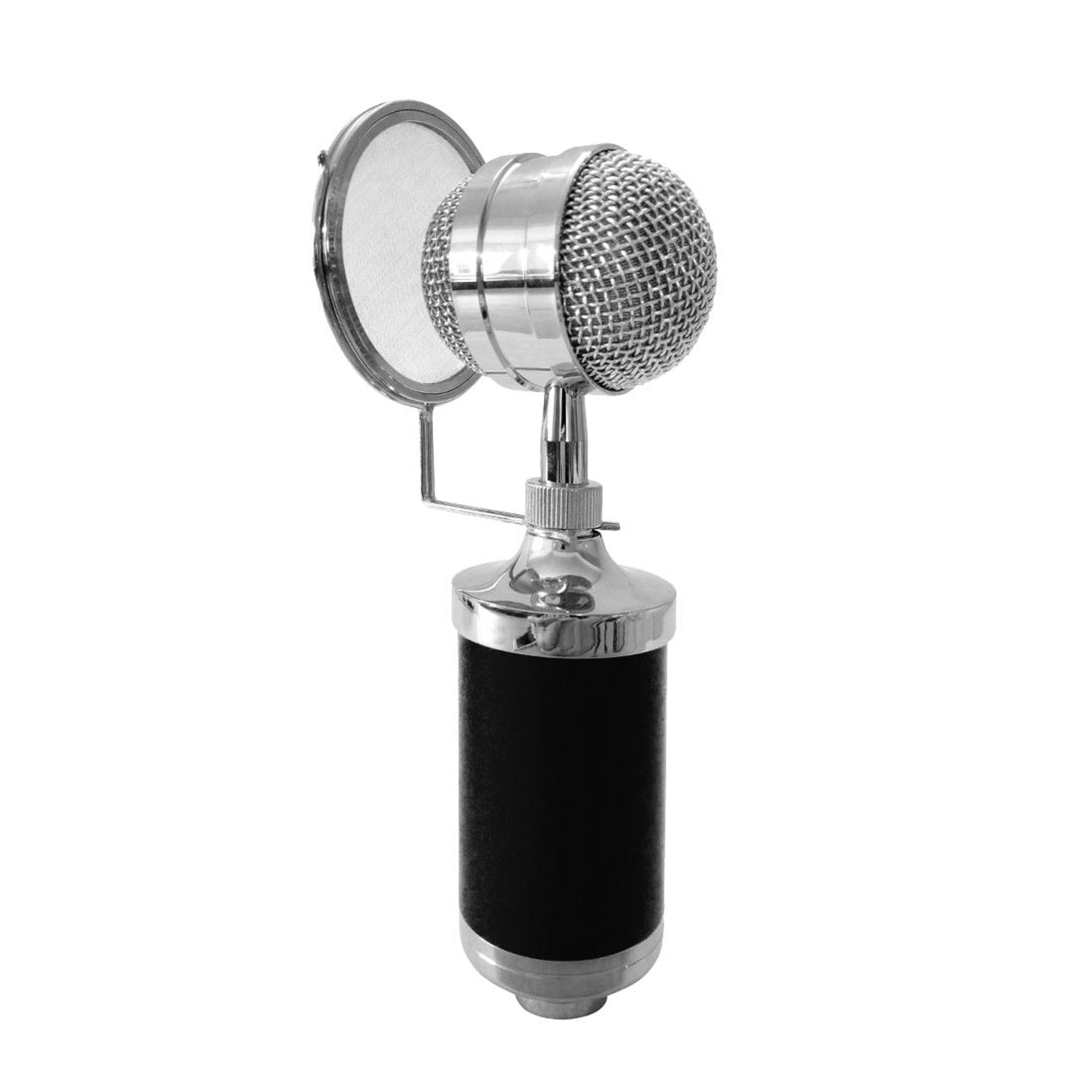 Professional Condenser Microphone Kit With Shock Mount Pop Filter And Studio Recording Microphone F 2