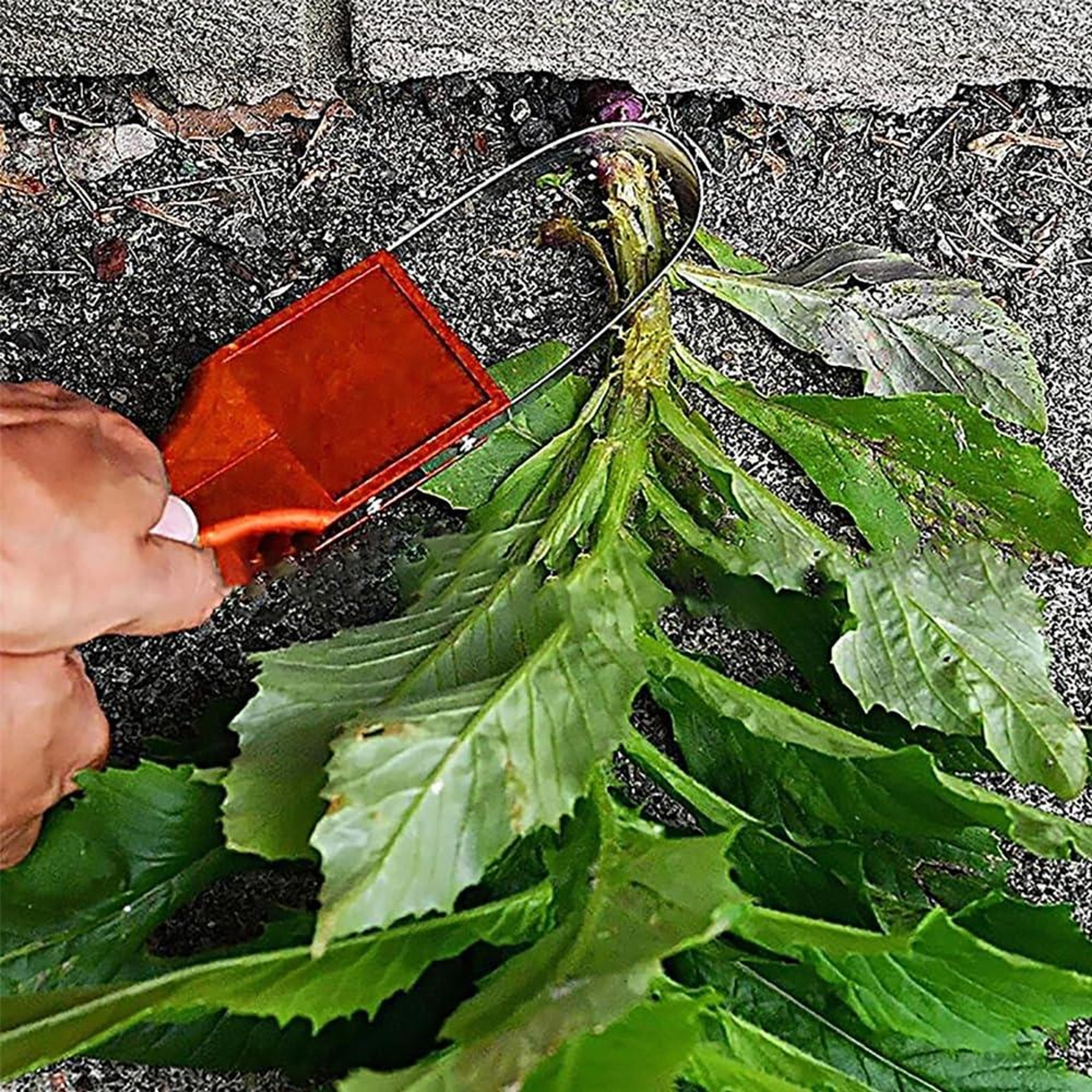 Ergonomic Garden Weeder Tool Handheld Weed Remover Tool Bracelet For Lawn Garden And Vegetable Beds 4