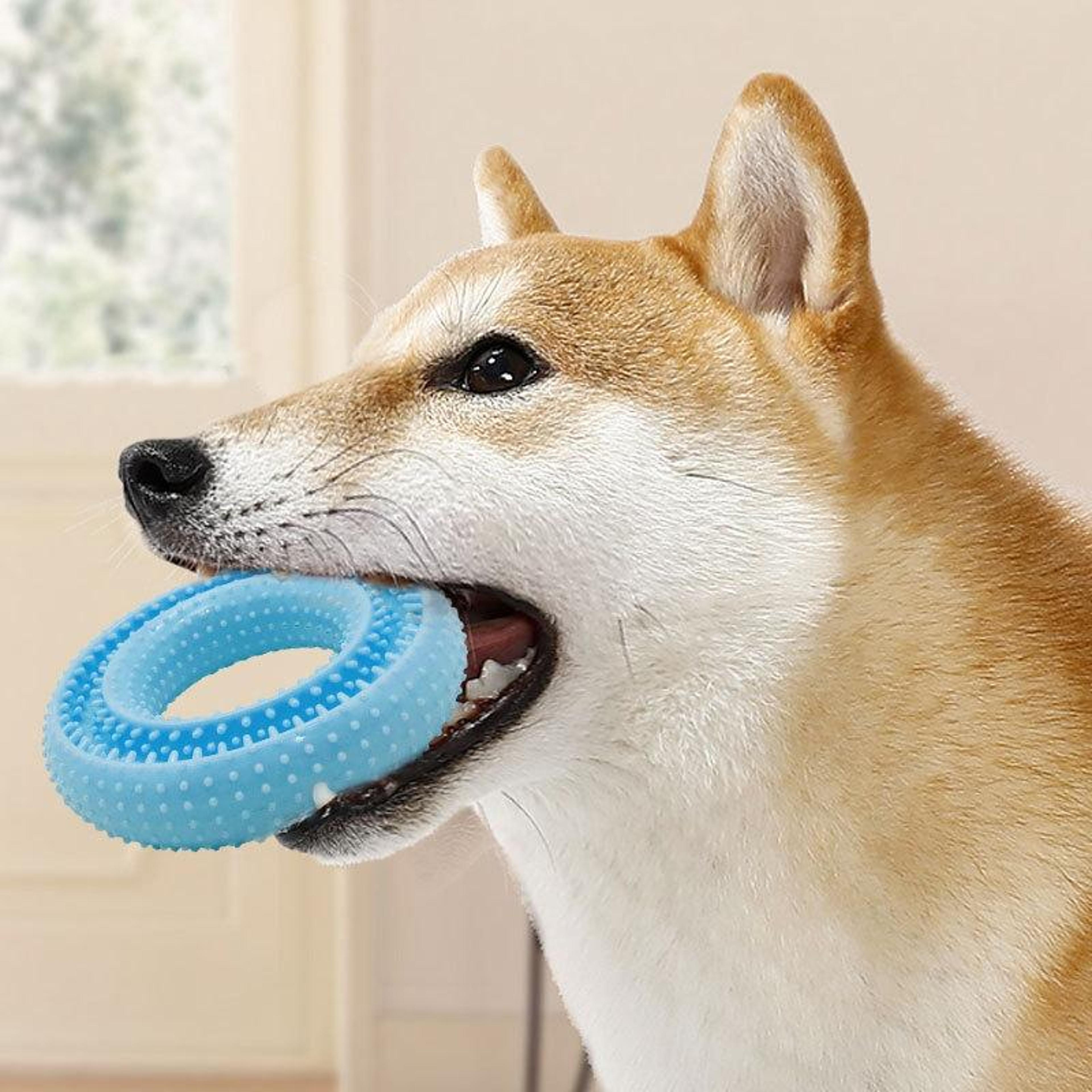 Pet Dental Toy Dog Chew Toy Round Dog Teething Toy For Teeth Cleaning And Interactive Play 7