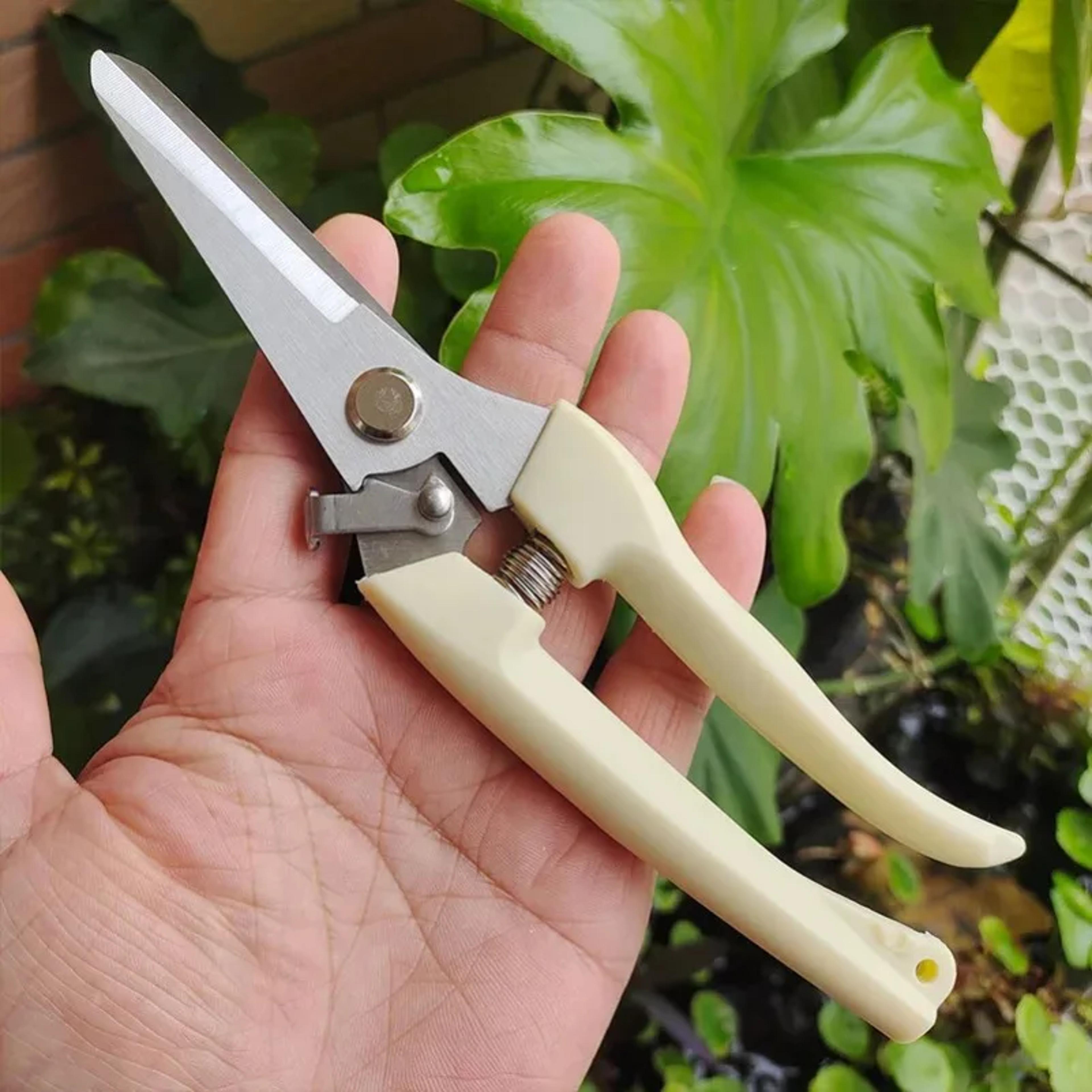 Professional Pruning Shears For Garden Fruit Trees  Precision Plant Trimming 1