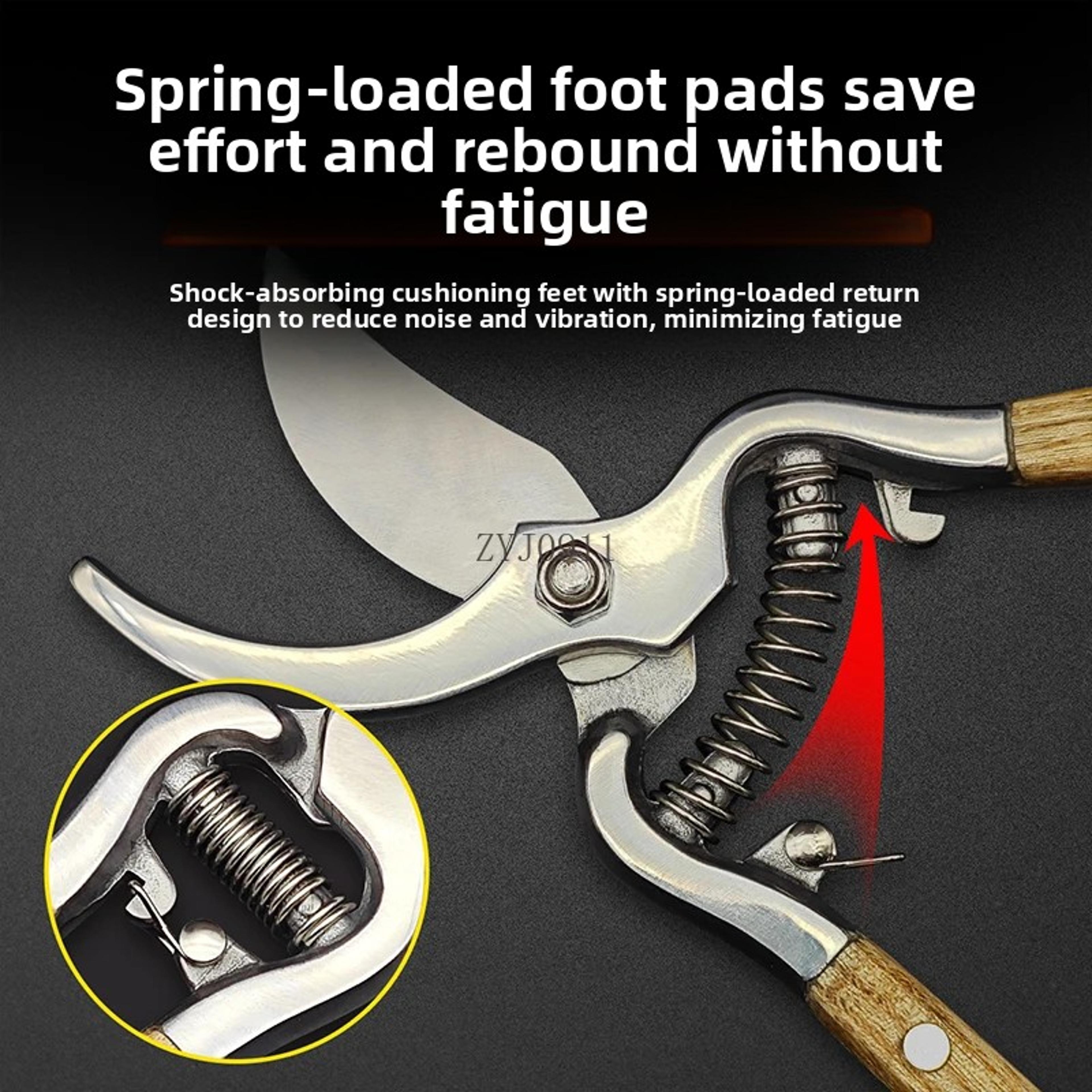 PrecisionCut Stainless Steel Pruning Shears For Fruit Picking Flower Trimming  Garden Care 2