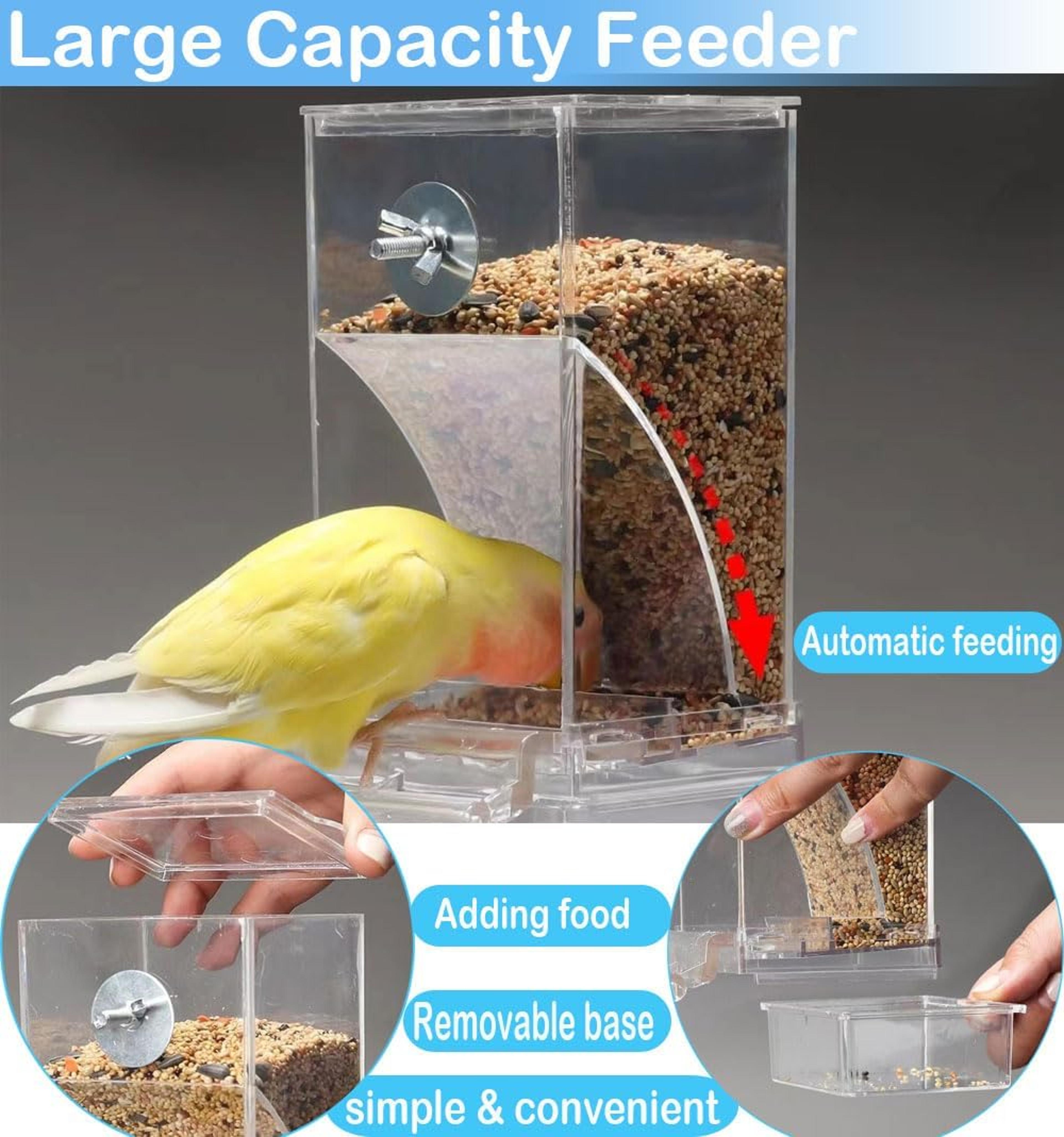 No Mess Transparent Automatic Bird Feeder For Parrot  Small Birds Cage 1