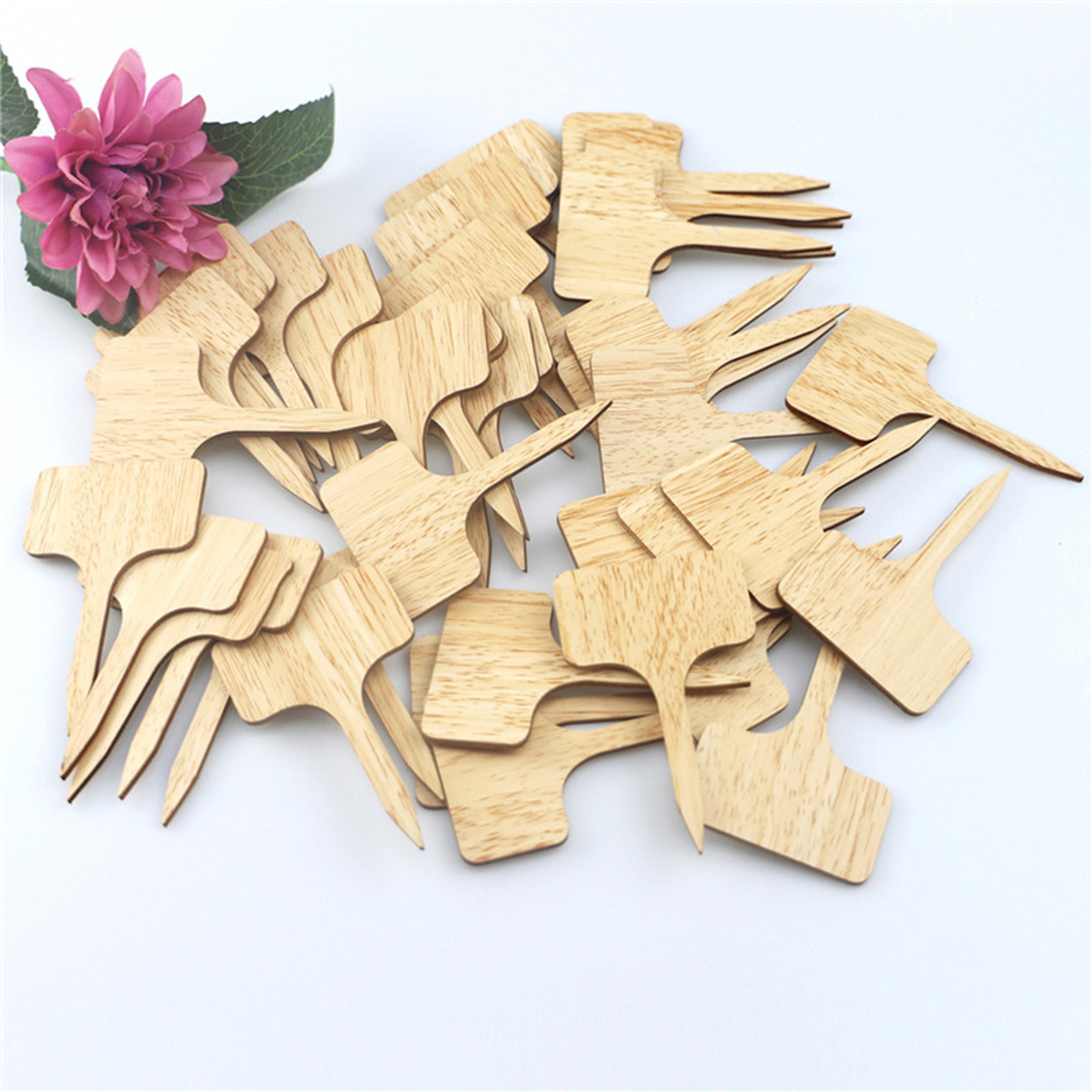 EcoFriendly TType Bamboo Plant Labels Sustainable Wooden Garden Markers For Bonsai Herbs Flowers  S 3