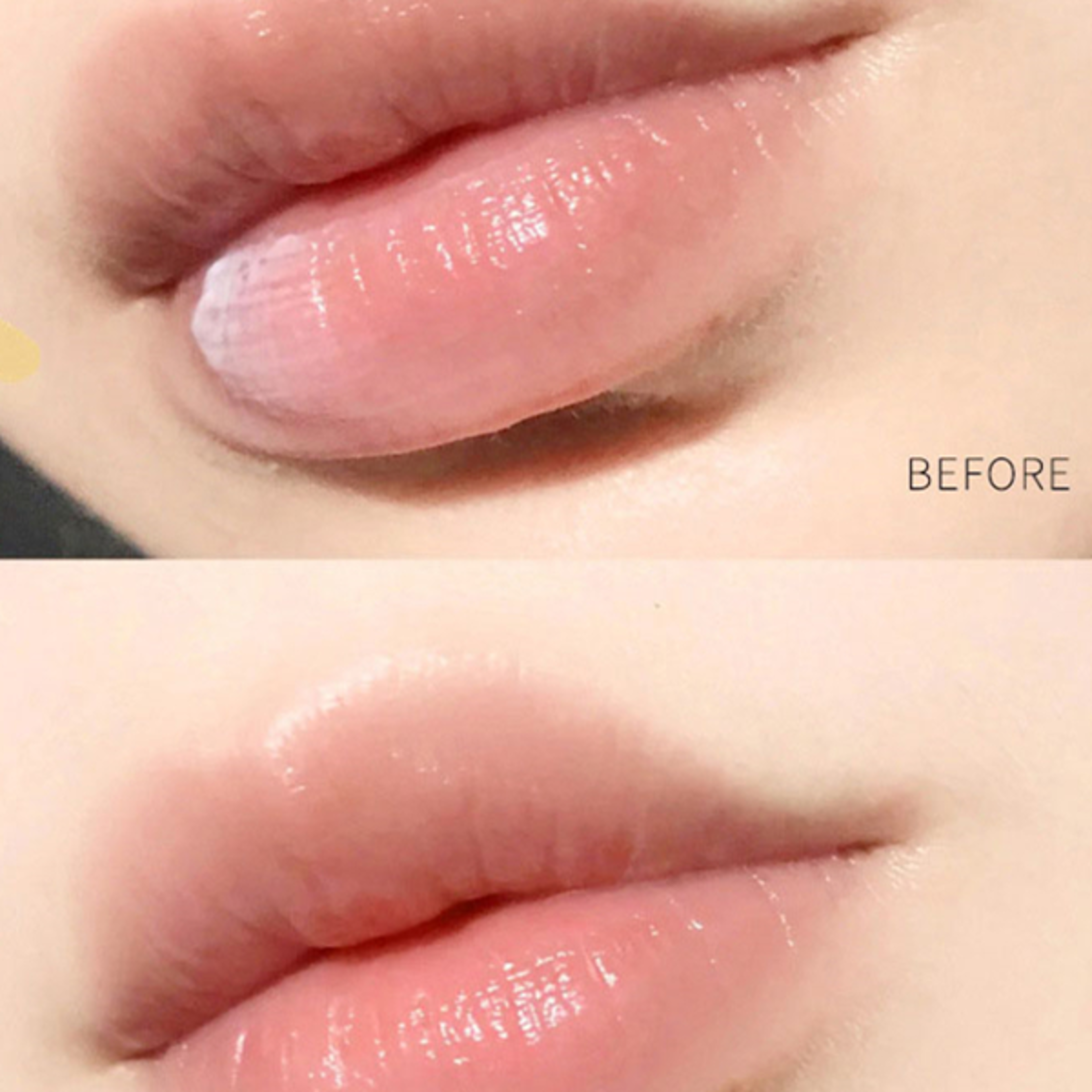 Natural Plant Lip Balm Moisturizing Lipstick AntiCracking Base Moisturizer With Beeswax  Shea Butte