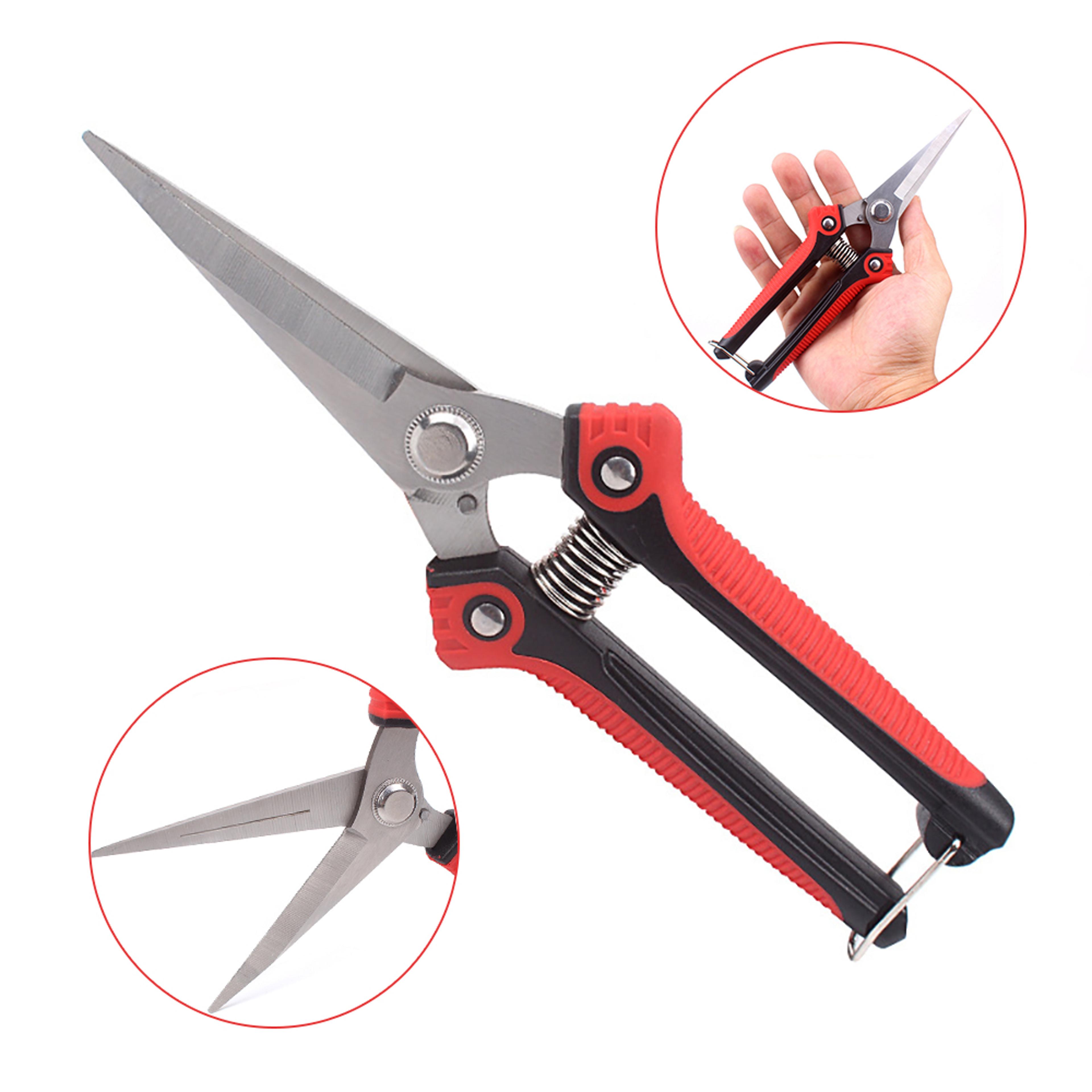 PrecisionCut Stainless Steel Pruning Shears With NonSlip Grip For Garden  Fruit Tree Trimming 4