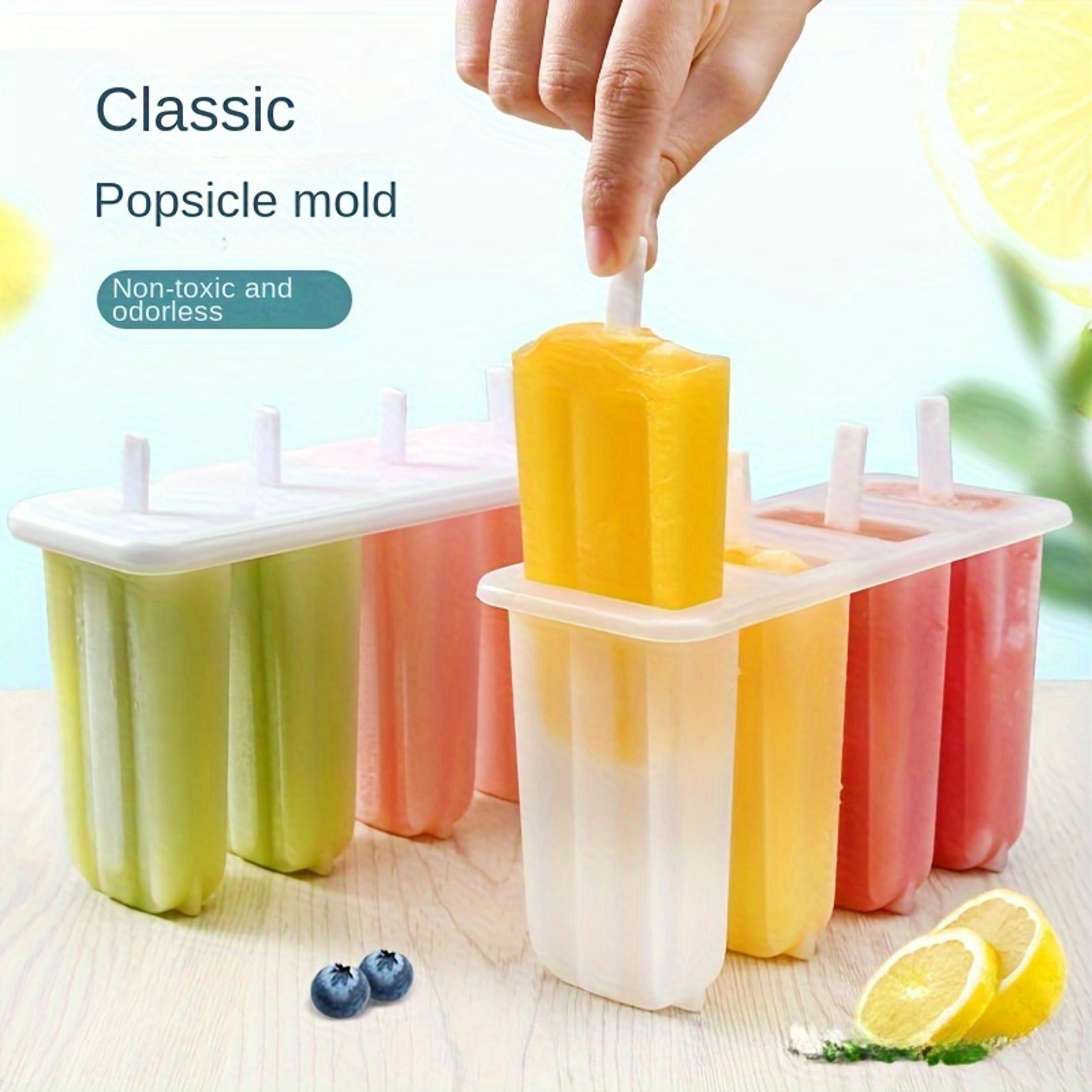 DIY Popsicle Mold Set For Homemade Frozen Treats  Fresh Fruit Ice Pops 1