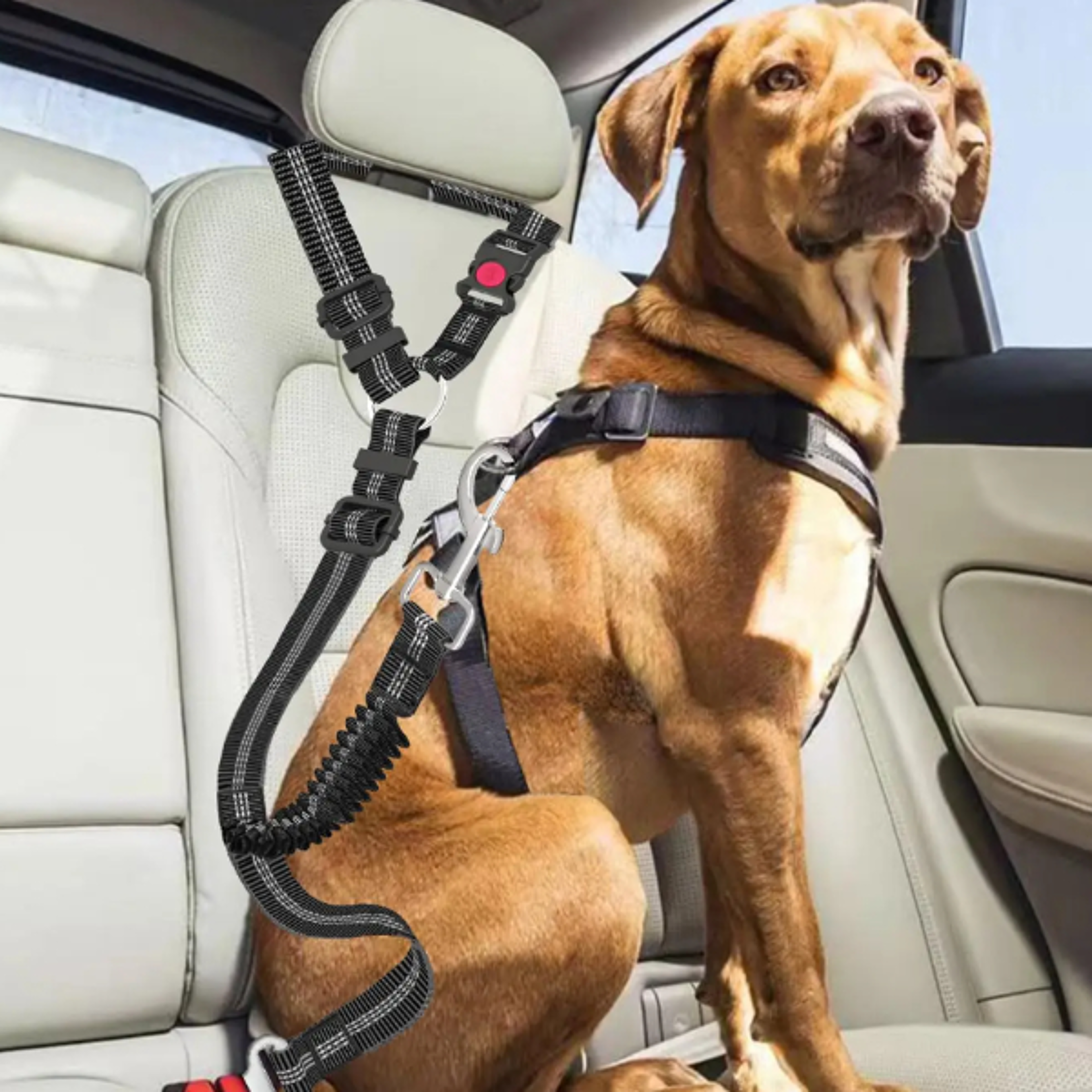 striped nylon large dog traction rope, adjustable and heavy duty dog car seat belt for safe car rides