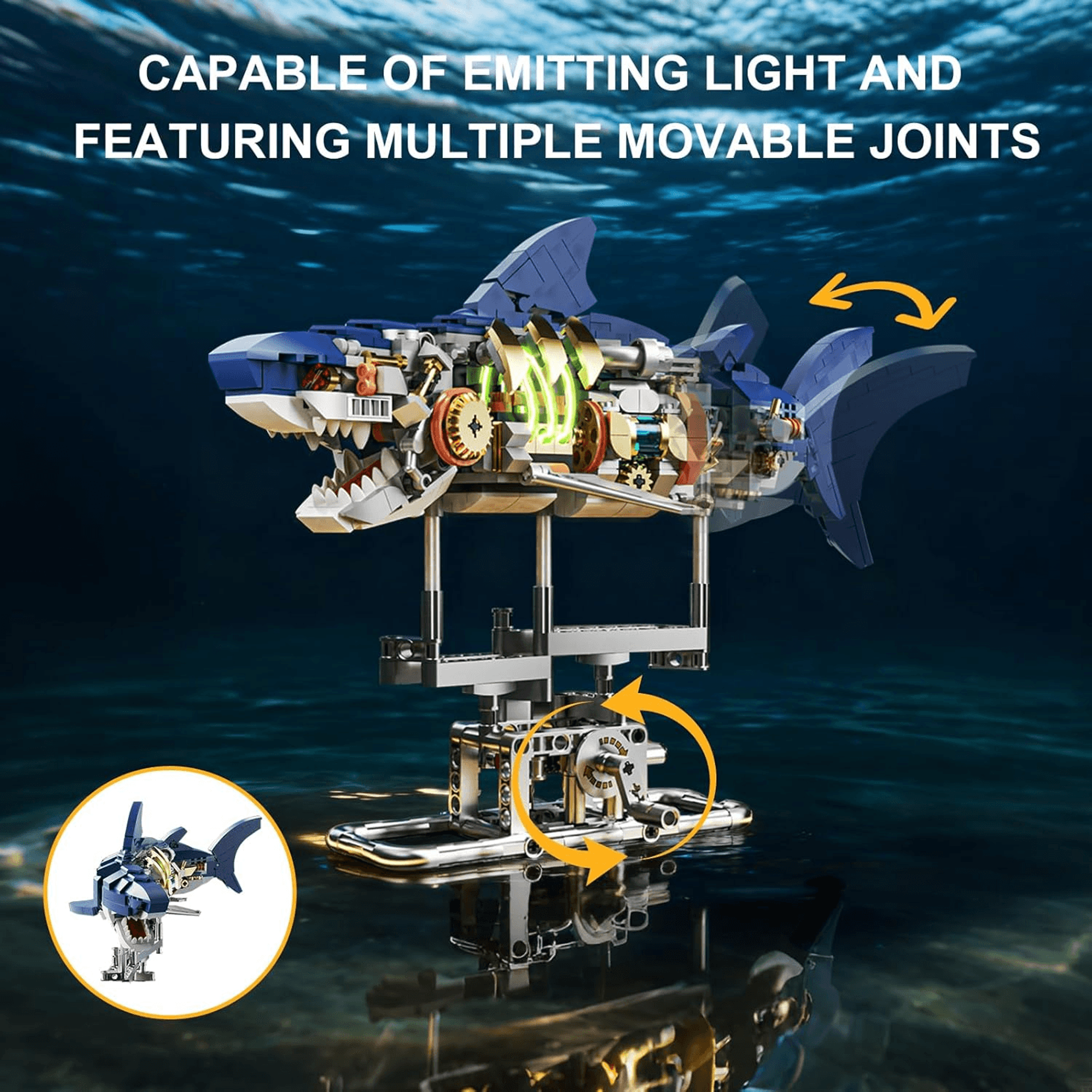 Shark themed display stand set