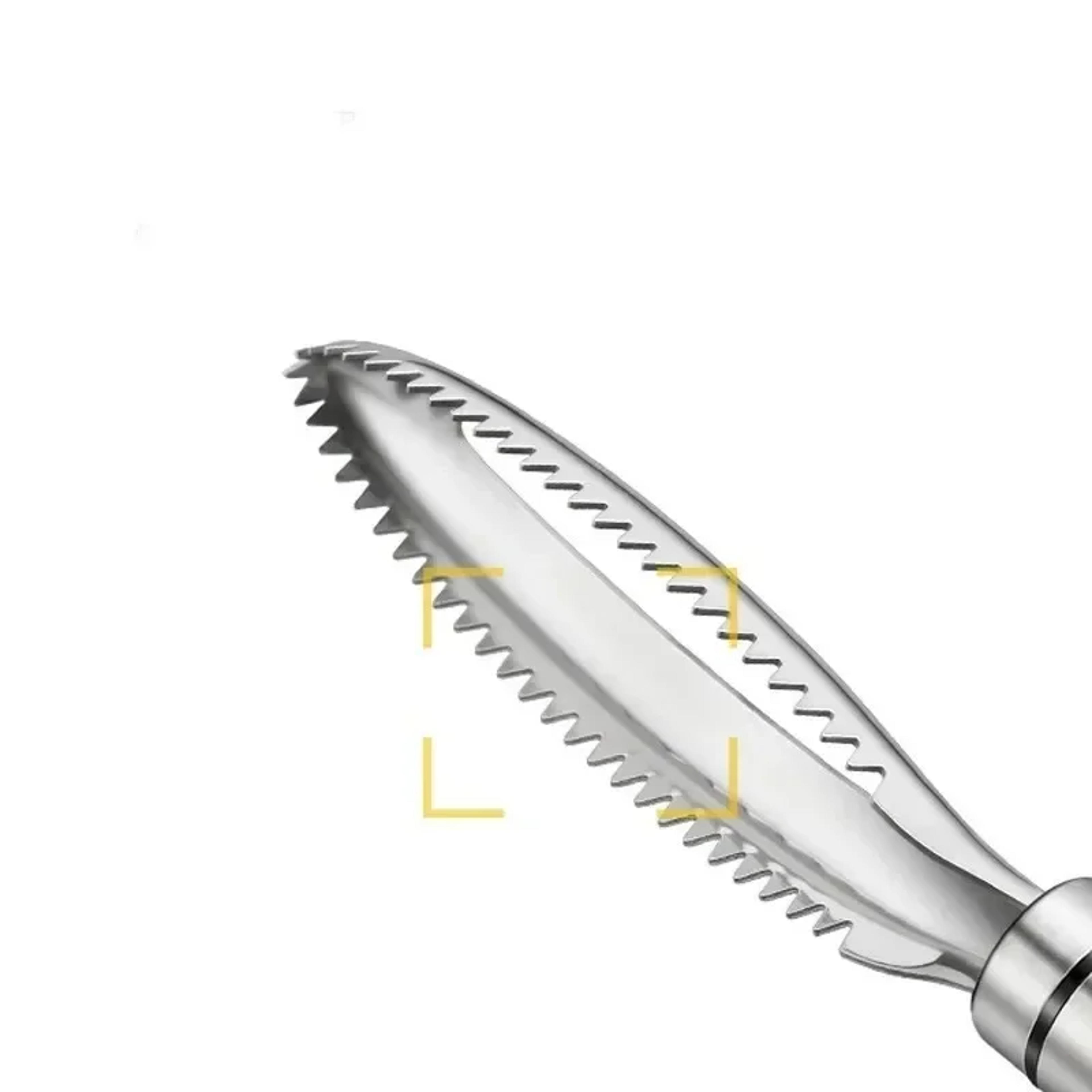 Stainless Fish Scales Scraping Graters Fast Remove Cleaning Peeler Scraper Bone Tweezers Tool For K 3