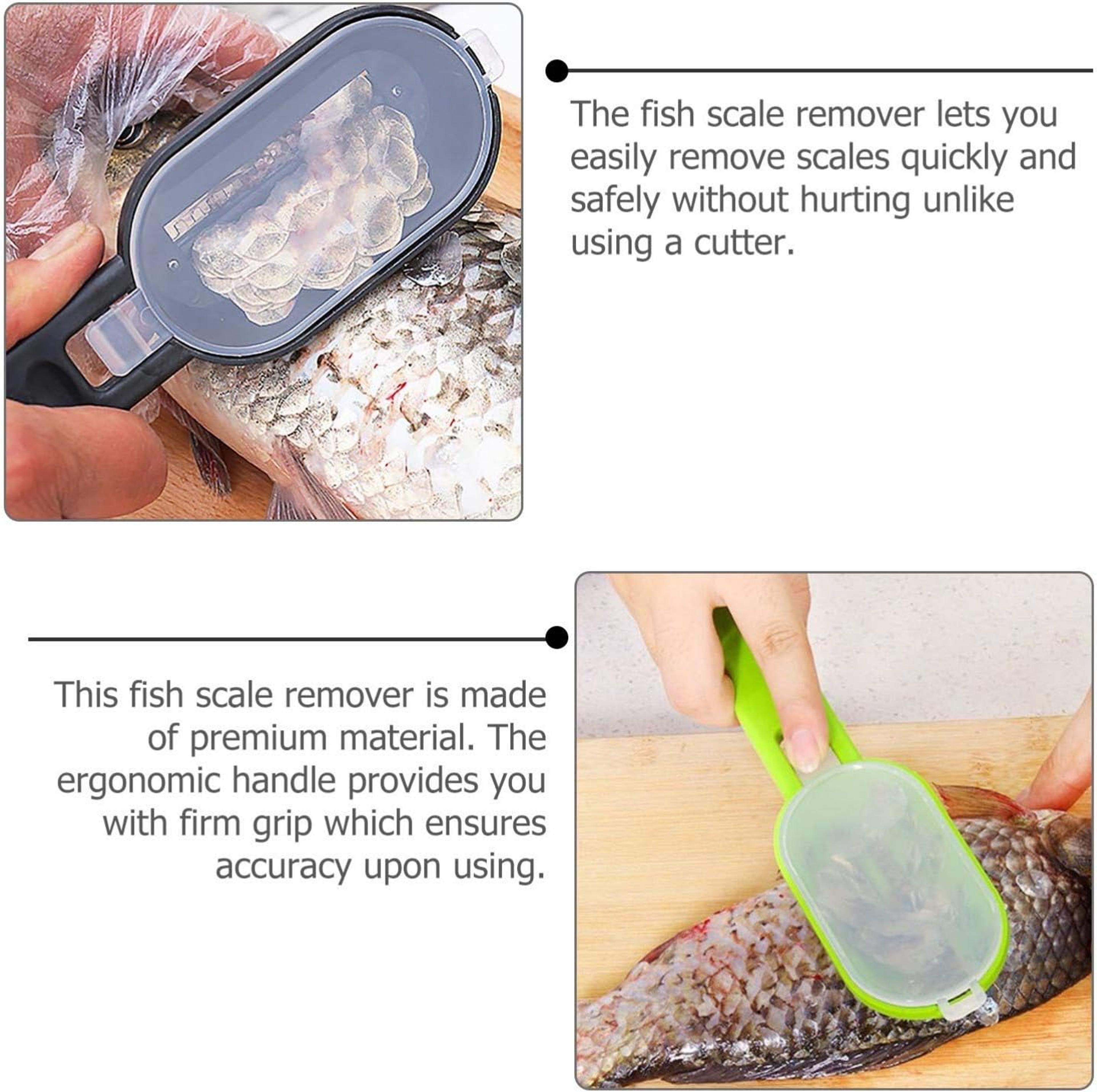 Precision Fish Scale Remover Brush Stainless Steel Fish Scaler Tool For Fast  Easy Seafood Cleaning 3