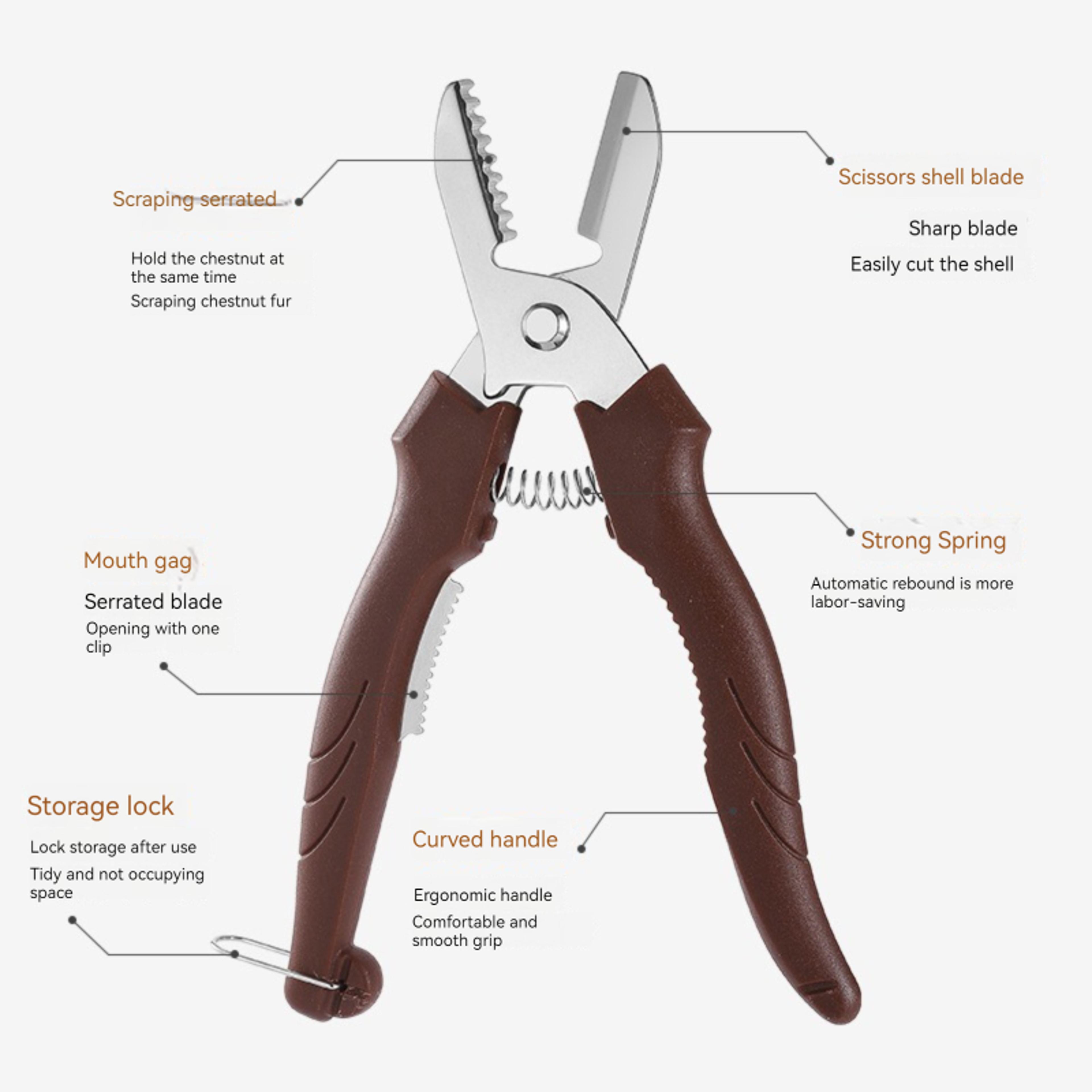 Stainless Steel Chestnut Peeler And Chestnut Cutter Scissors For Fast Safe Kitchen Prep 4
