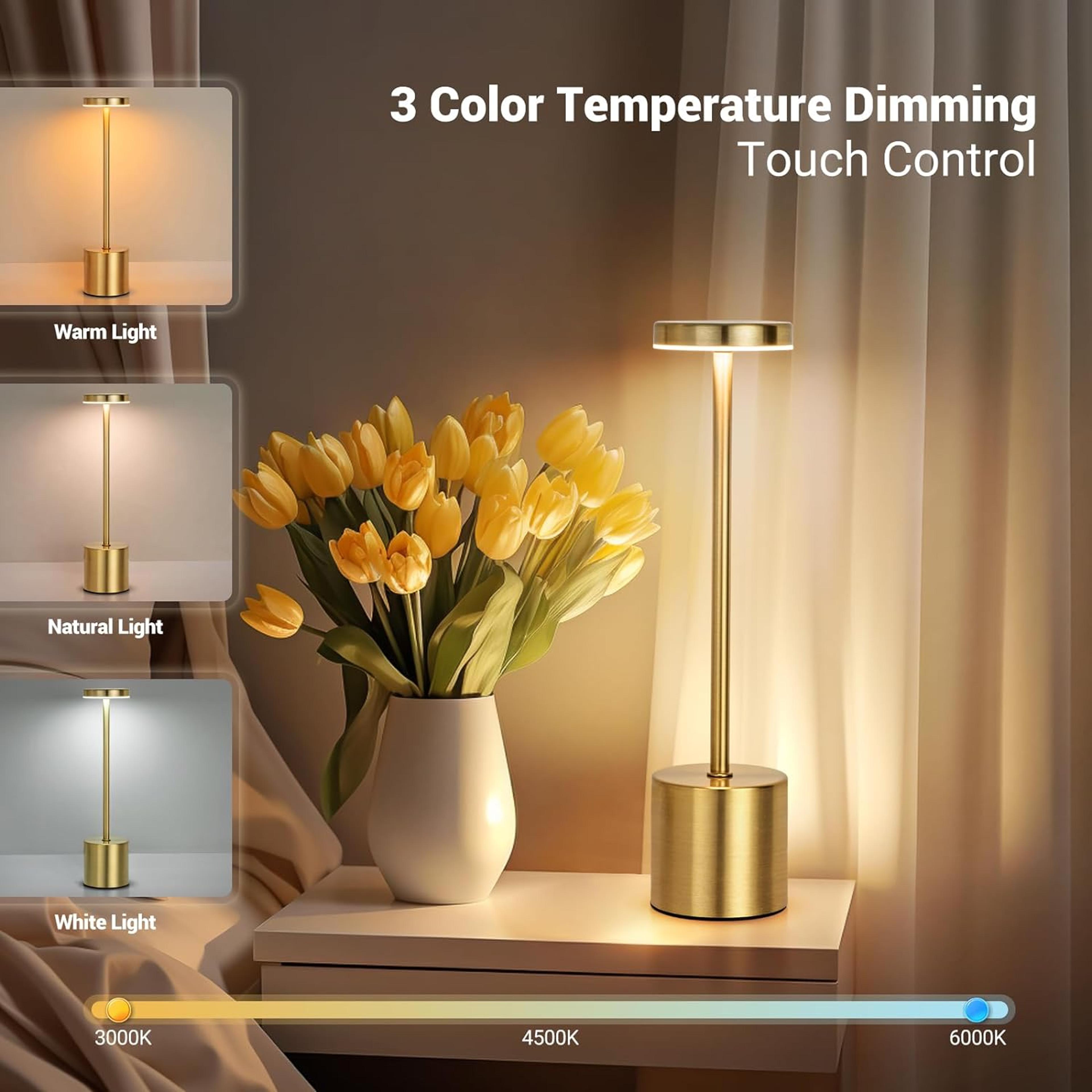 Simple LED Rechargeable Touch Metal Table Lamp Three Colors Bedside Creative Ambient Light Bar Outd 1