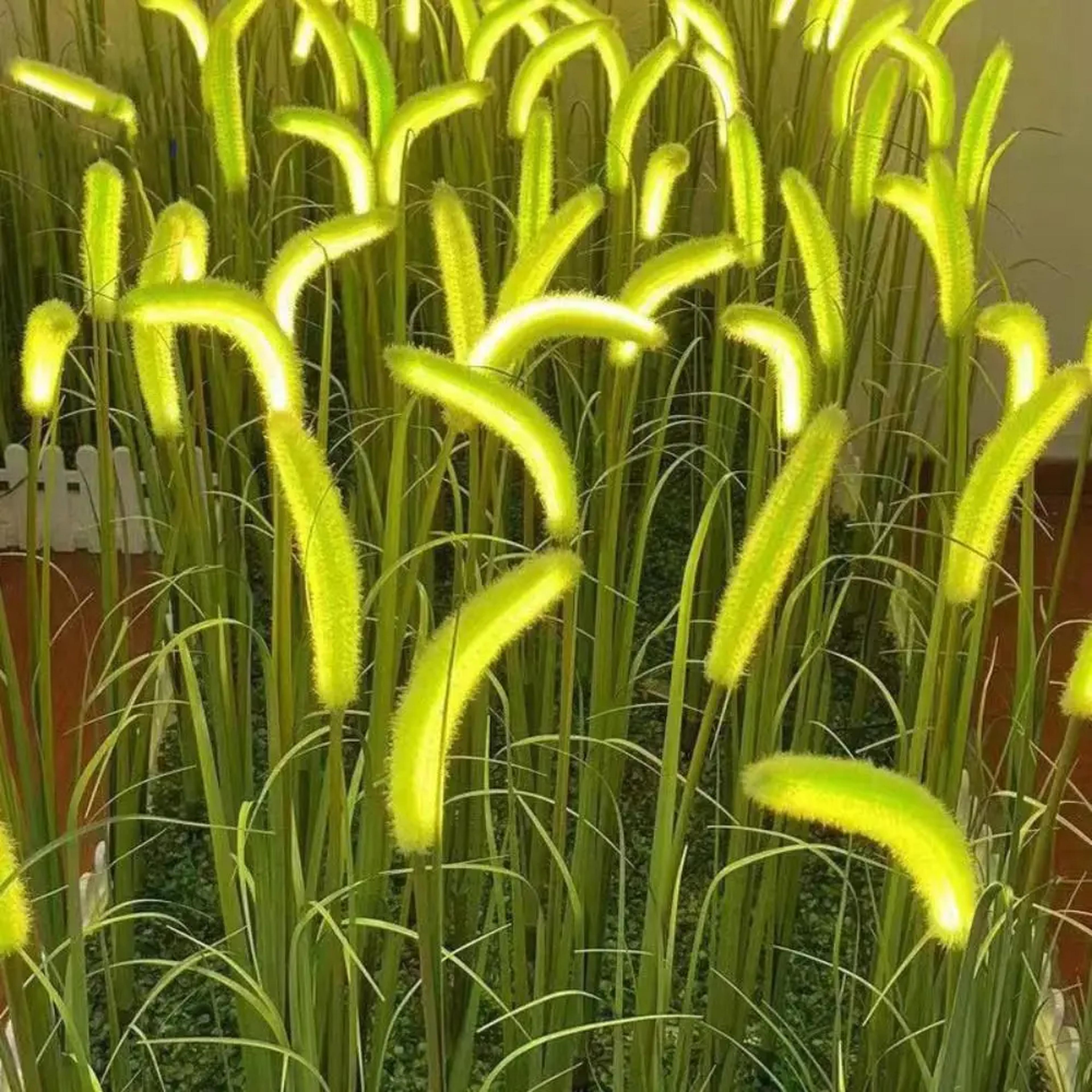 LED Solar Dog Tail Grass Lamp Outdoor Waterproof Lawn Light Yard Garden Decoration Path Lighting De 0