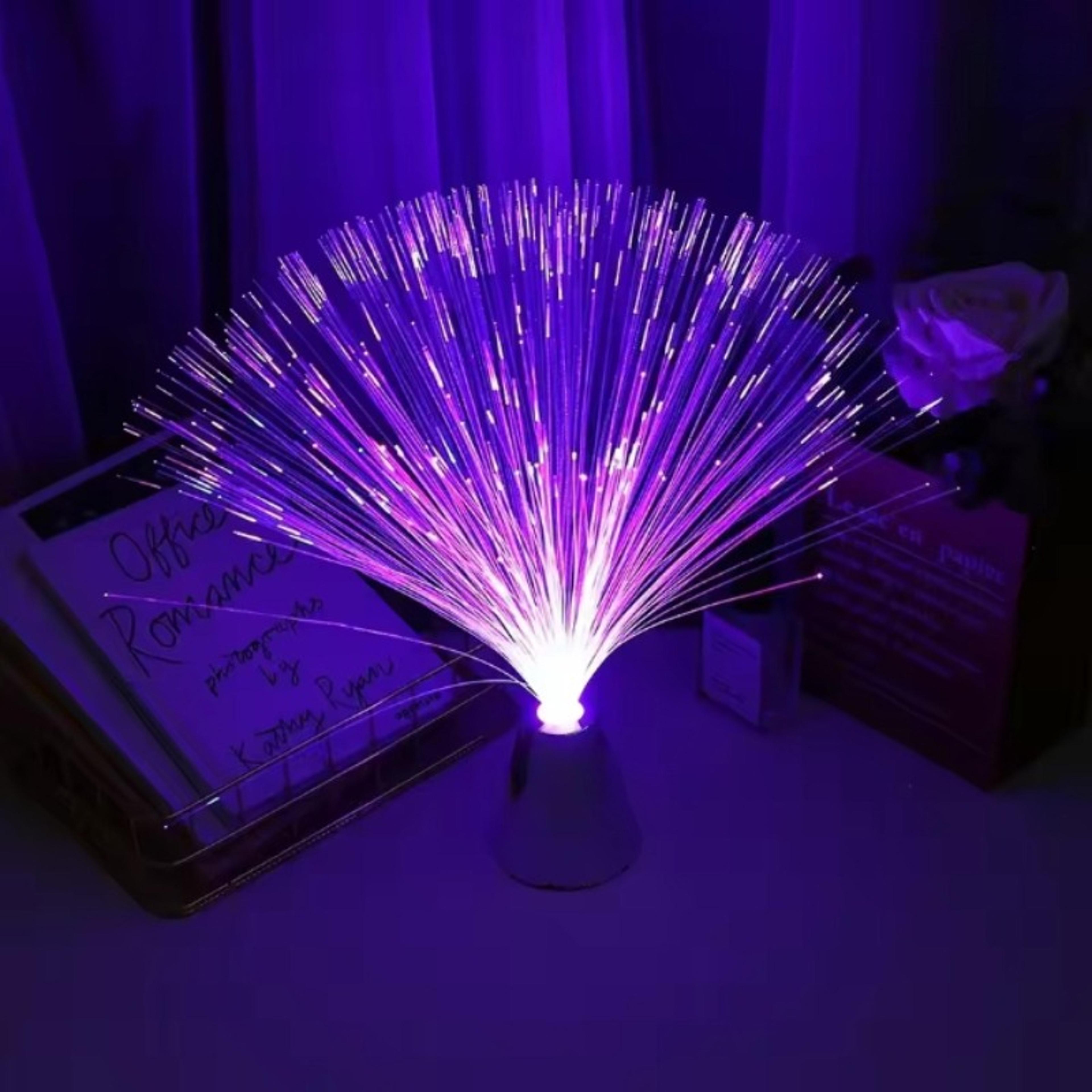 Holiday Atmosphere Lights LED Fiber Optic Lights Lanterns Starry Sky Wedding Party Christmas Decora 2