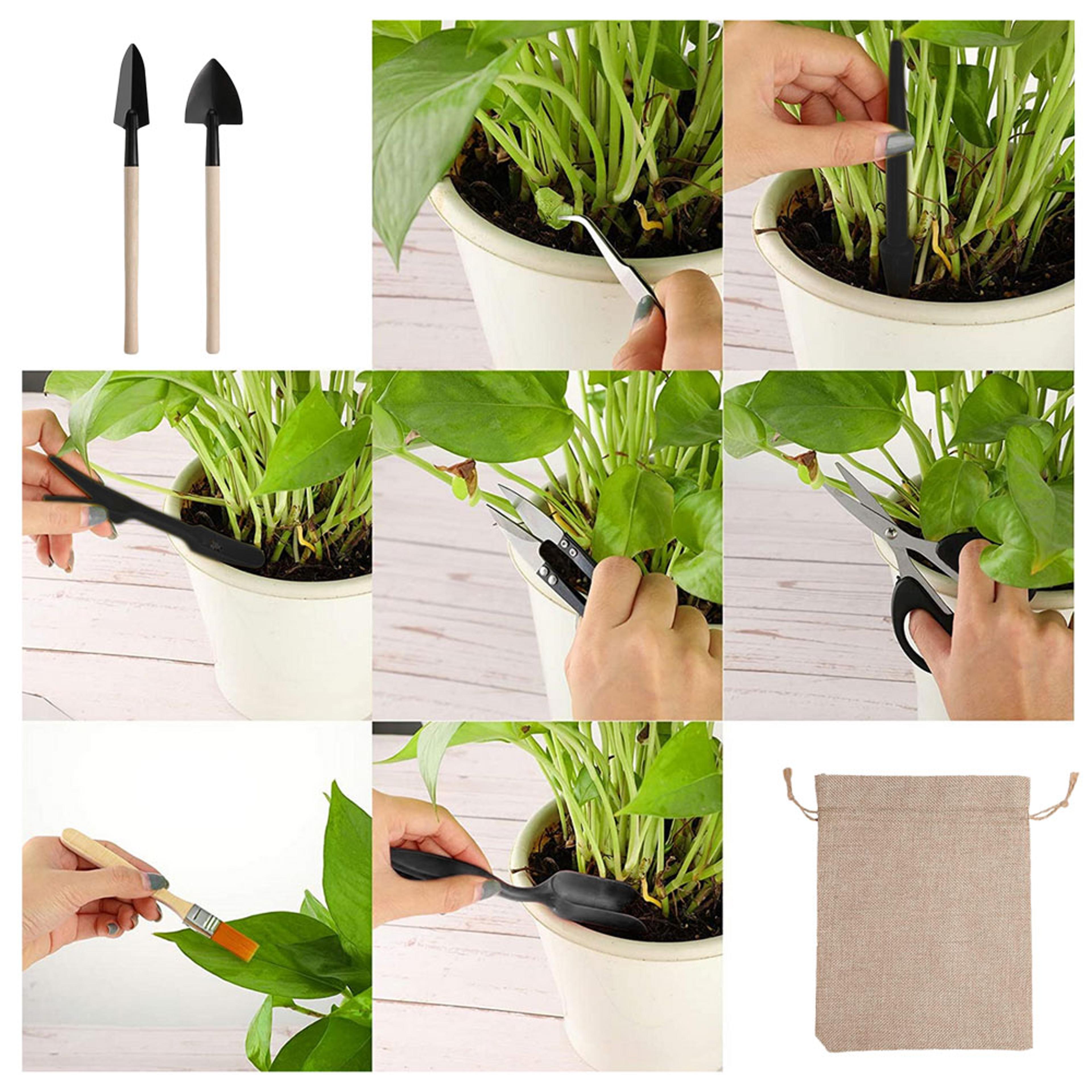 Mini Garden Shovel Rake Set Wooden Handle Bonsai Tools For Flowers Potted Plants Weeding  Gardening 3
