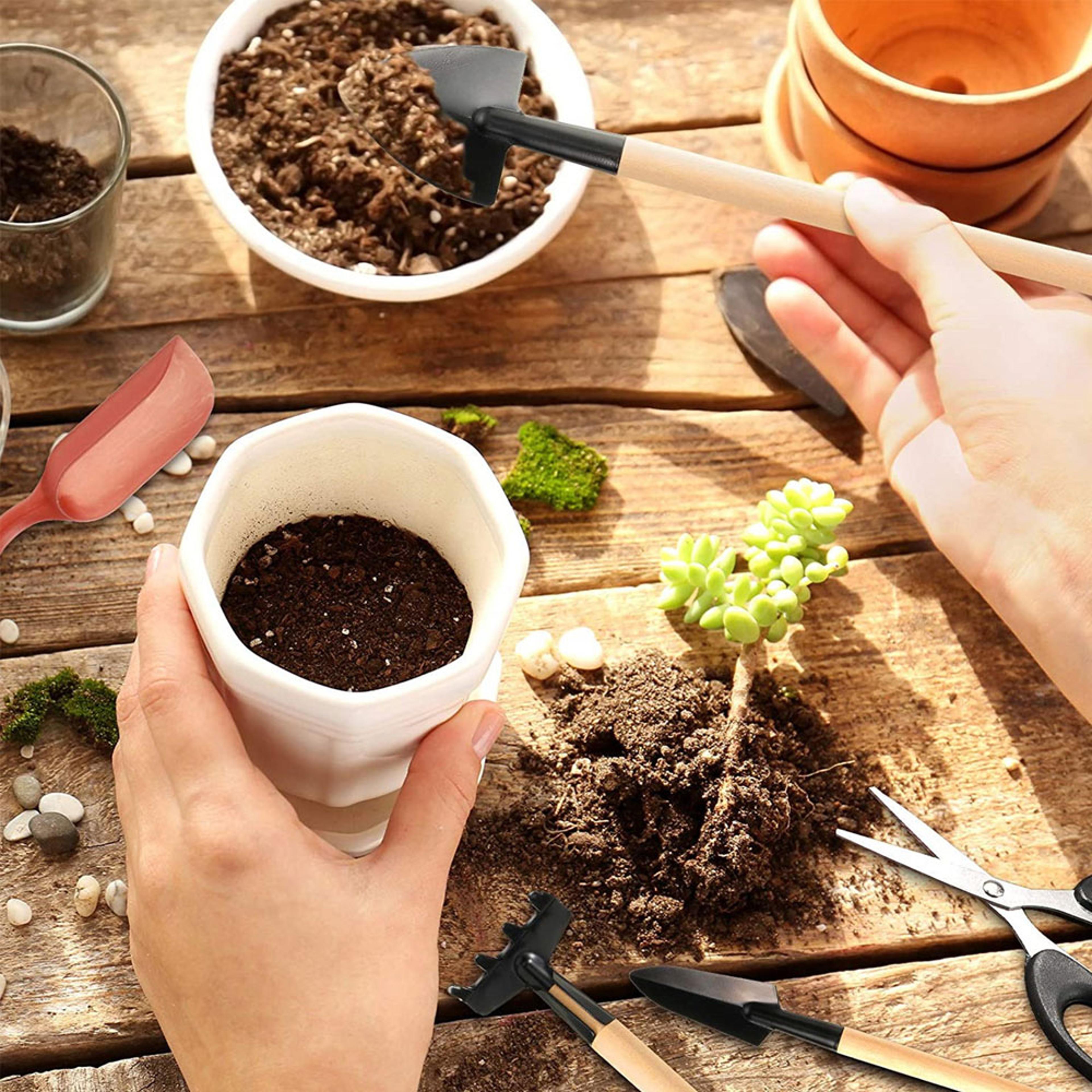 Mini Garden Shovel Rake Set Wooden Handle Bonsai Tools For Flowers Potted Plants Weeding  Gardening 4