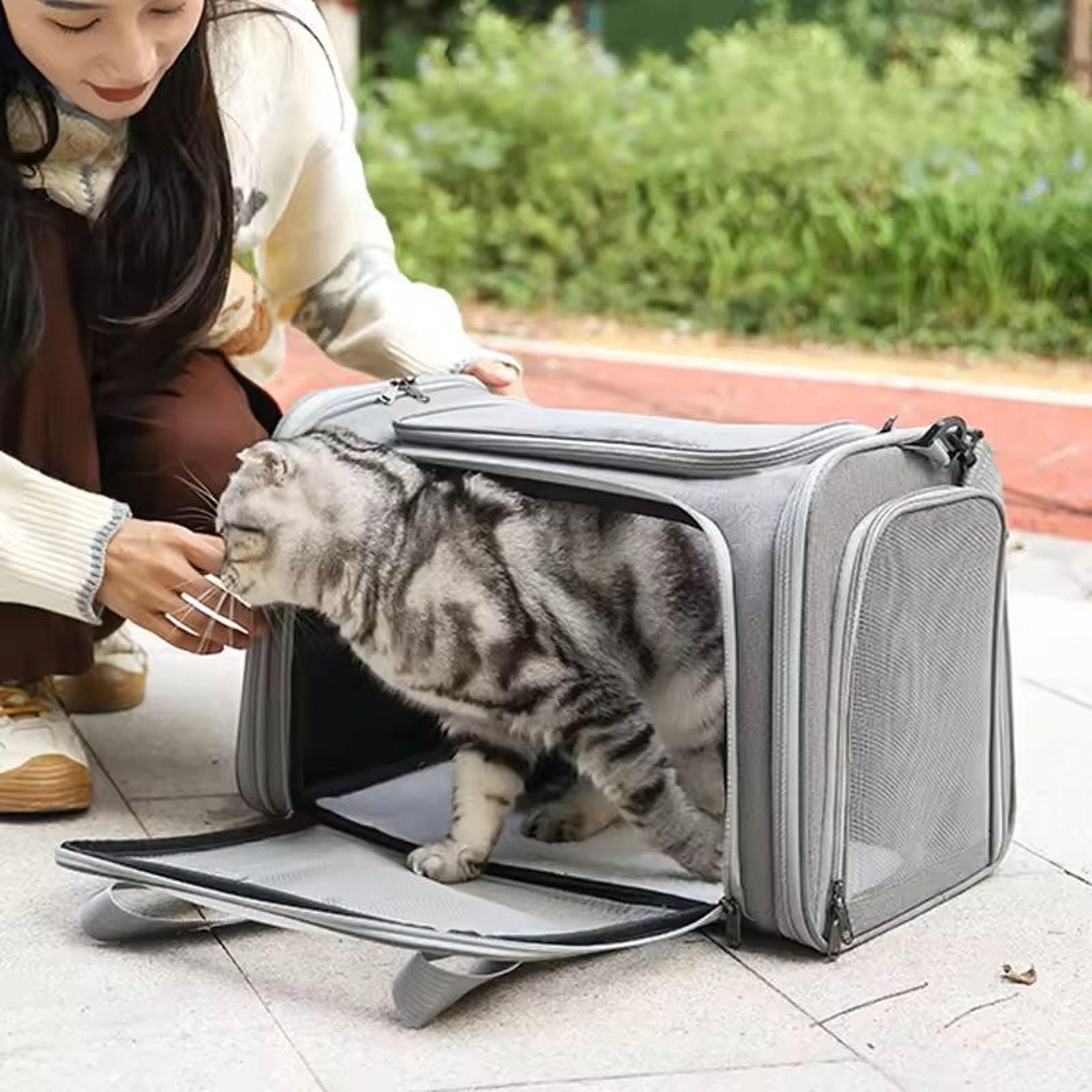 Portable Pet Carrier Bag Soft Sided Travel Backpack For Dogs And Cats 5