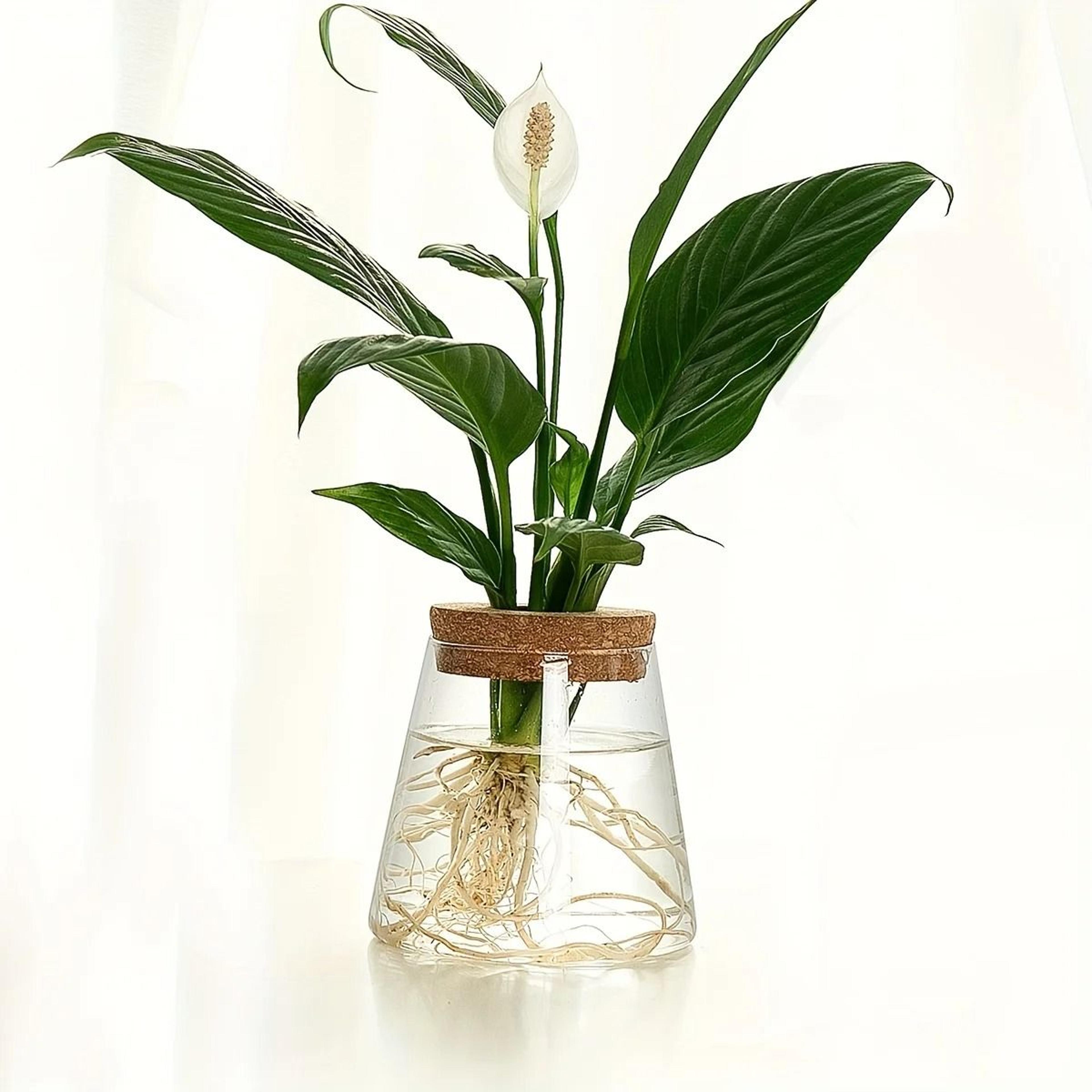 Glass Planter Propagation Station Vase Rack Tabletop Hydroponic Plants Decoration 10