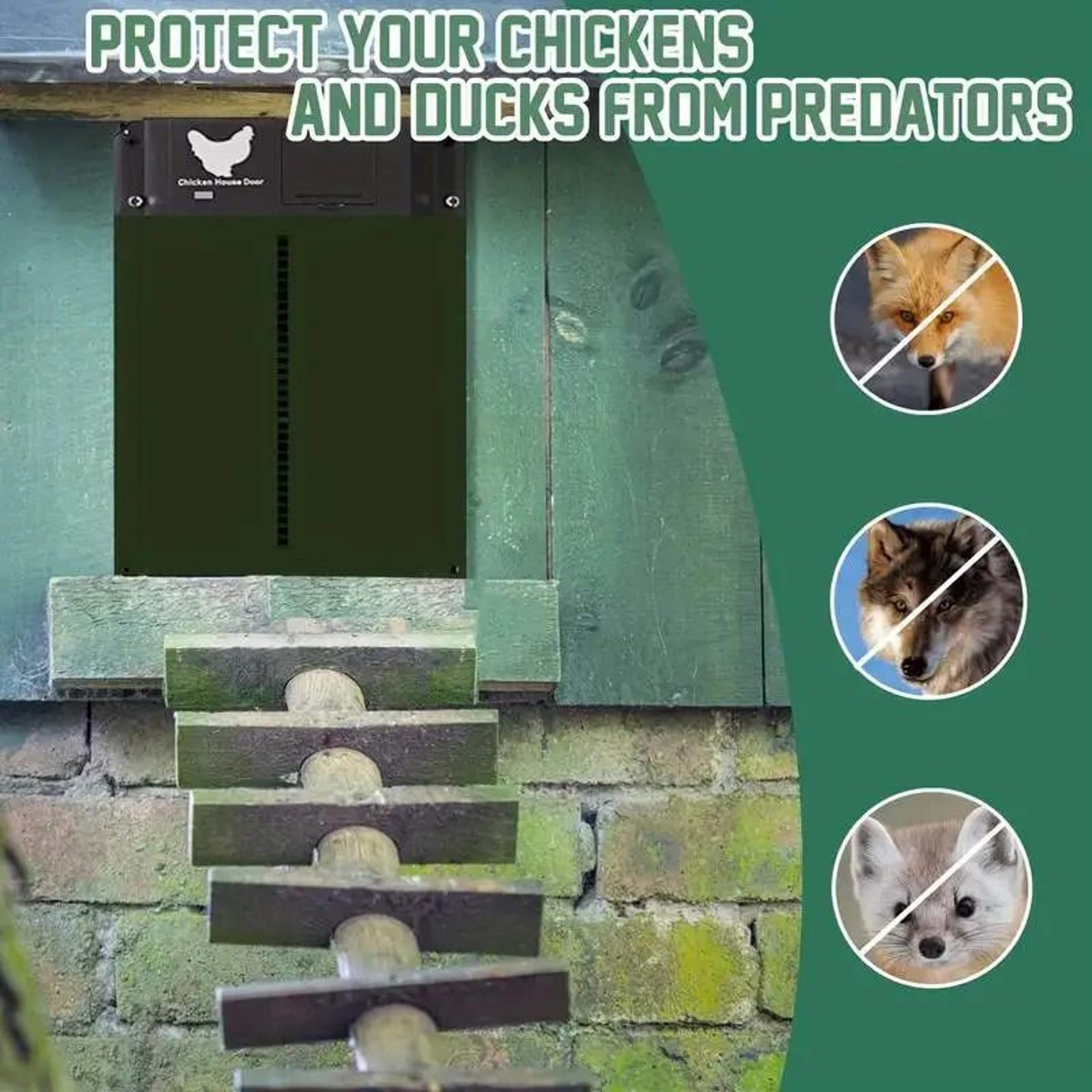Automatic Chicken Coop Door With Light Sensor And Battery Power 5