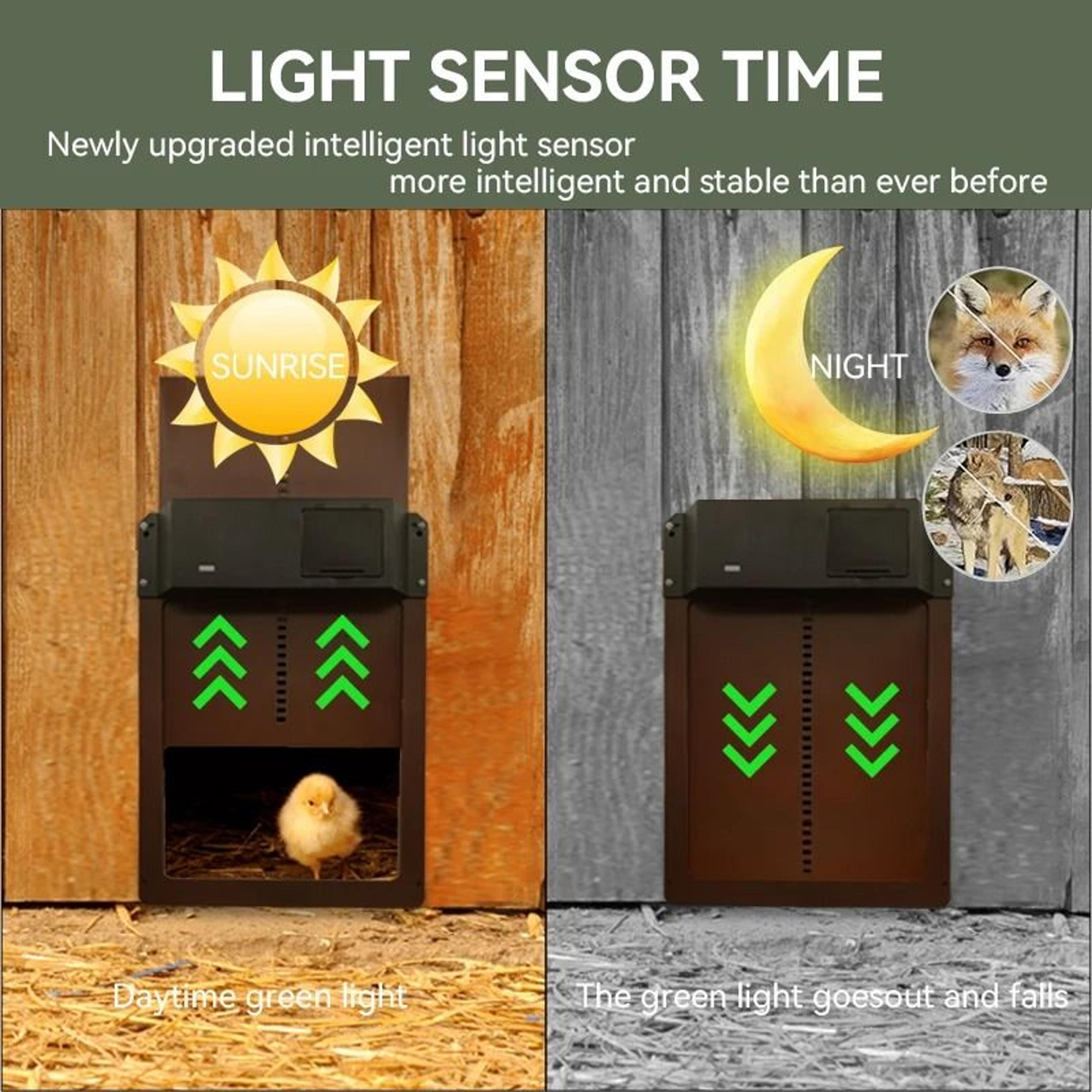 Automatic Chicken Coop Door Opener With Light Sensor And Waterproof Battery Power 4