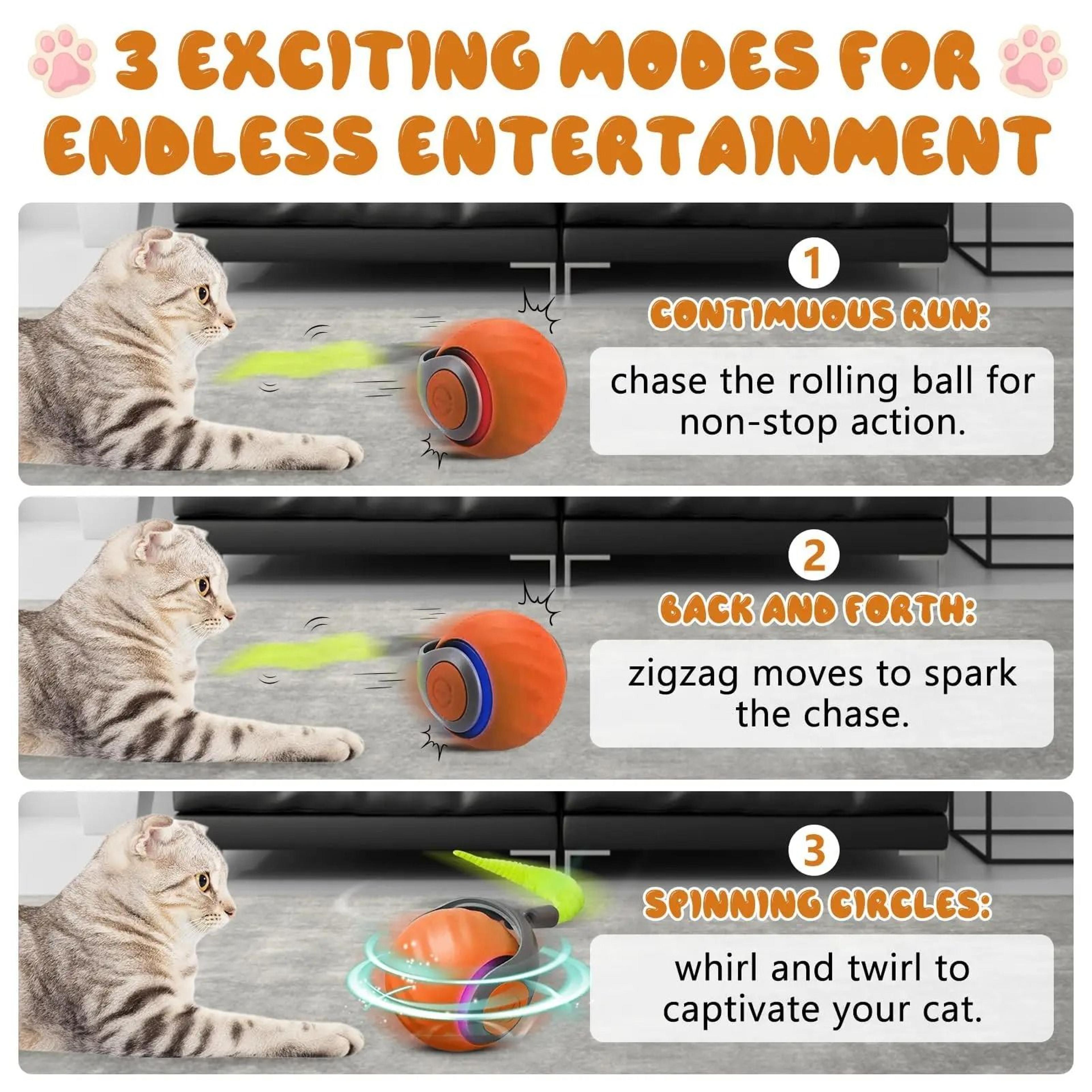 Interactive Smart Cat Toy Ball With Moving Tail 4