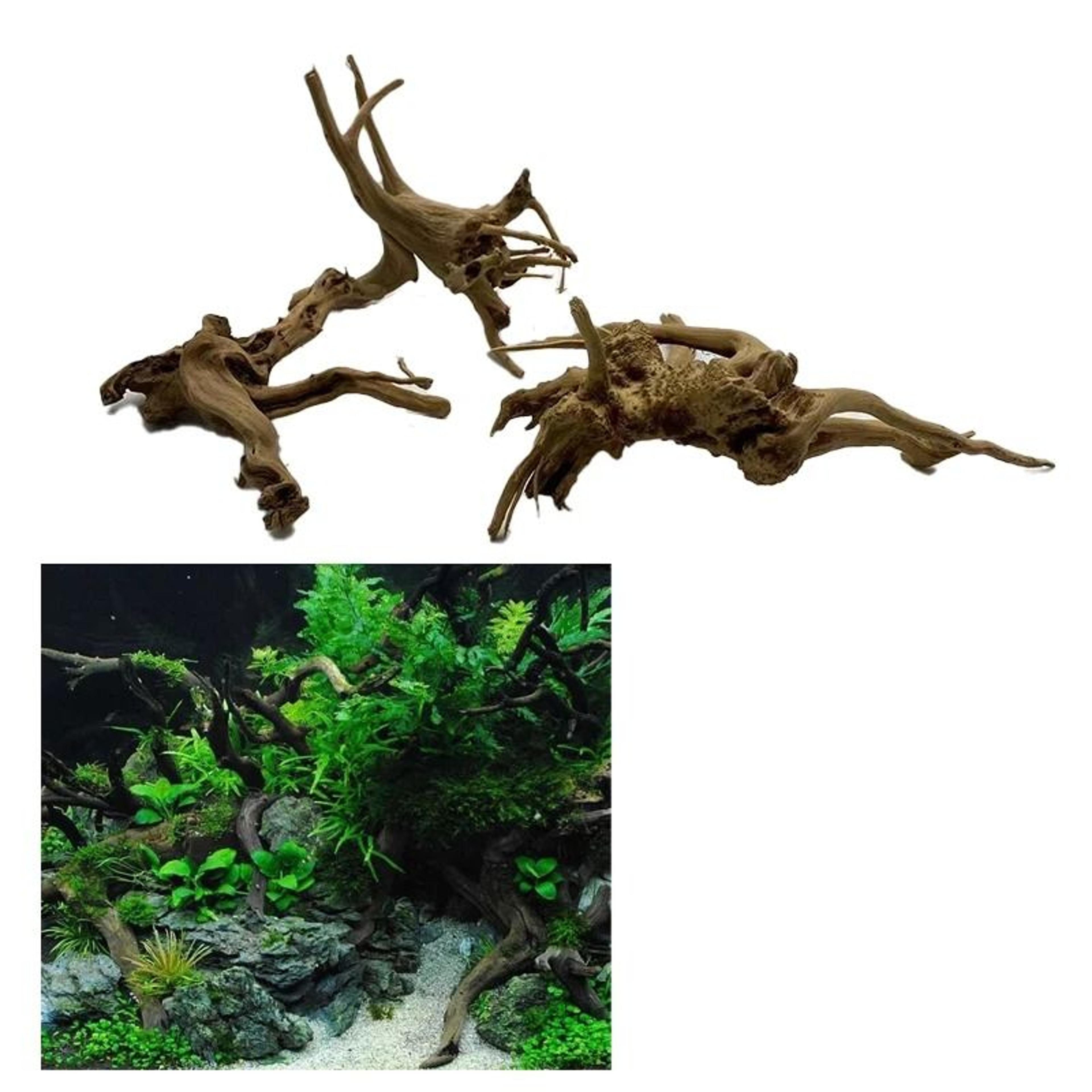 Natural Driftwood Aquarium Decoration For Fish Tanks And Terrariums 3
