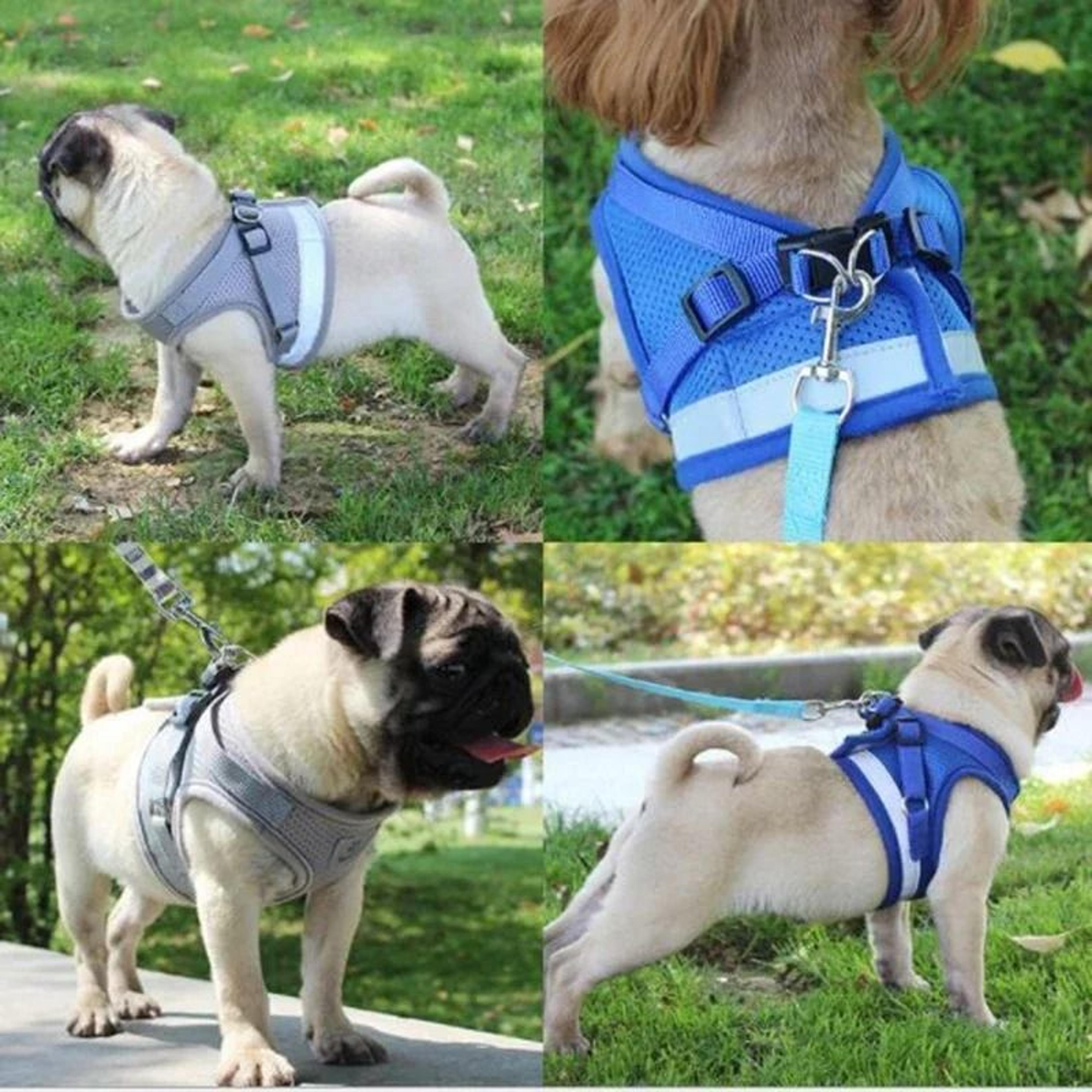 Adjustable Mesh Vest Harness And Leash Set For Dogs And Cats 4