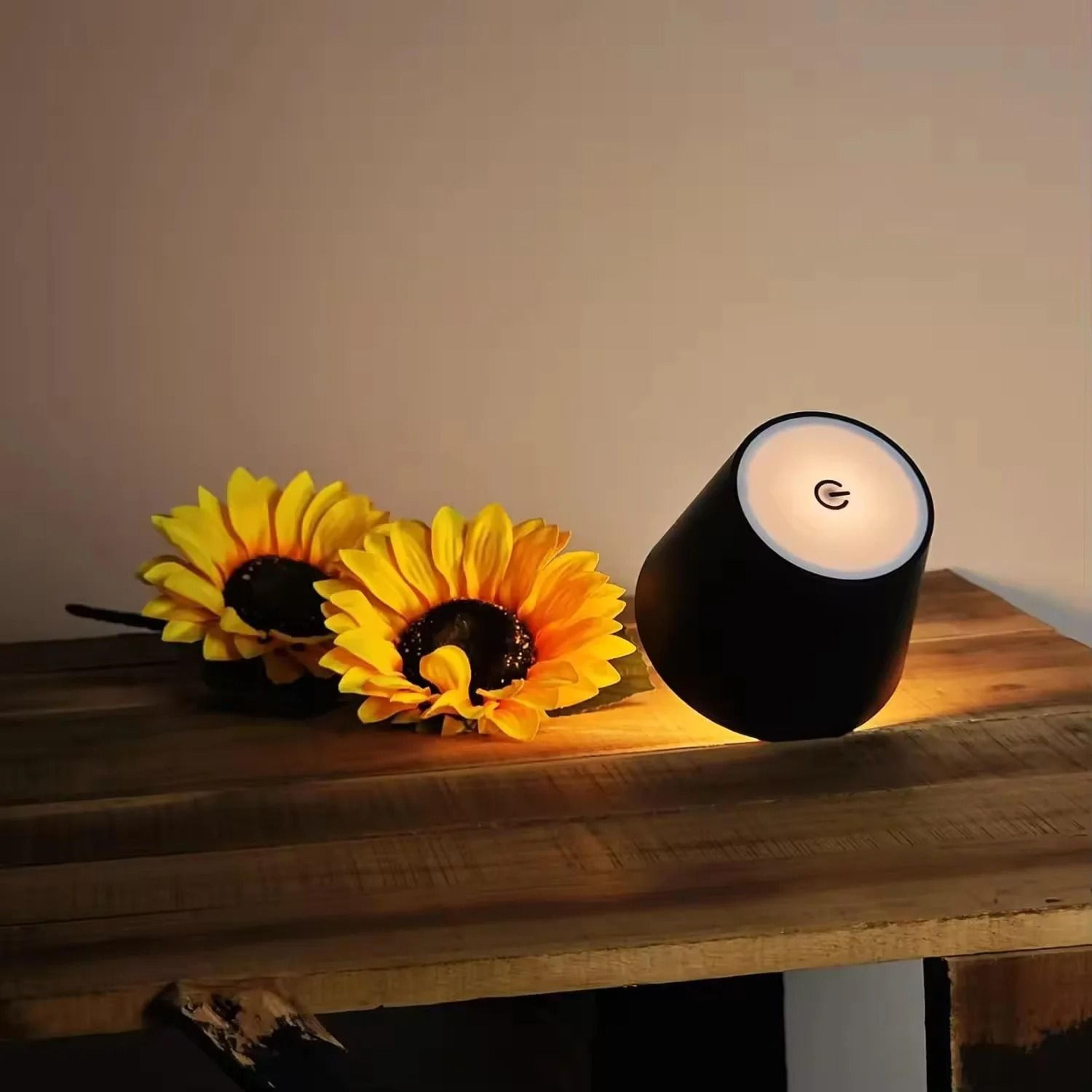 USB Rechargeable Bottle Table Lamp Touch Control With 3Color Dimming Light 2
