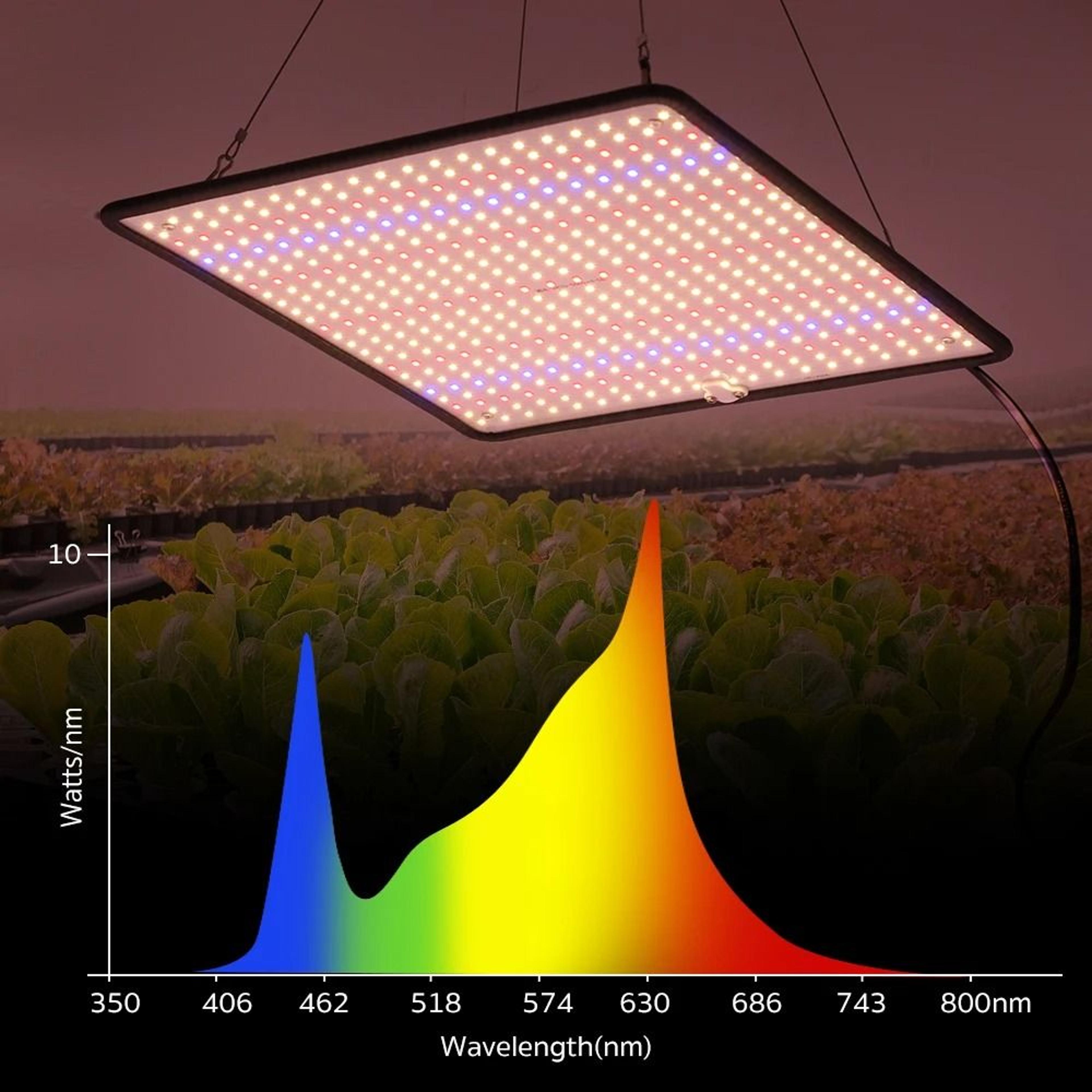 LED Grow Light Full Spectrum Phyto Lamp For Indoor Plants 4