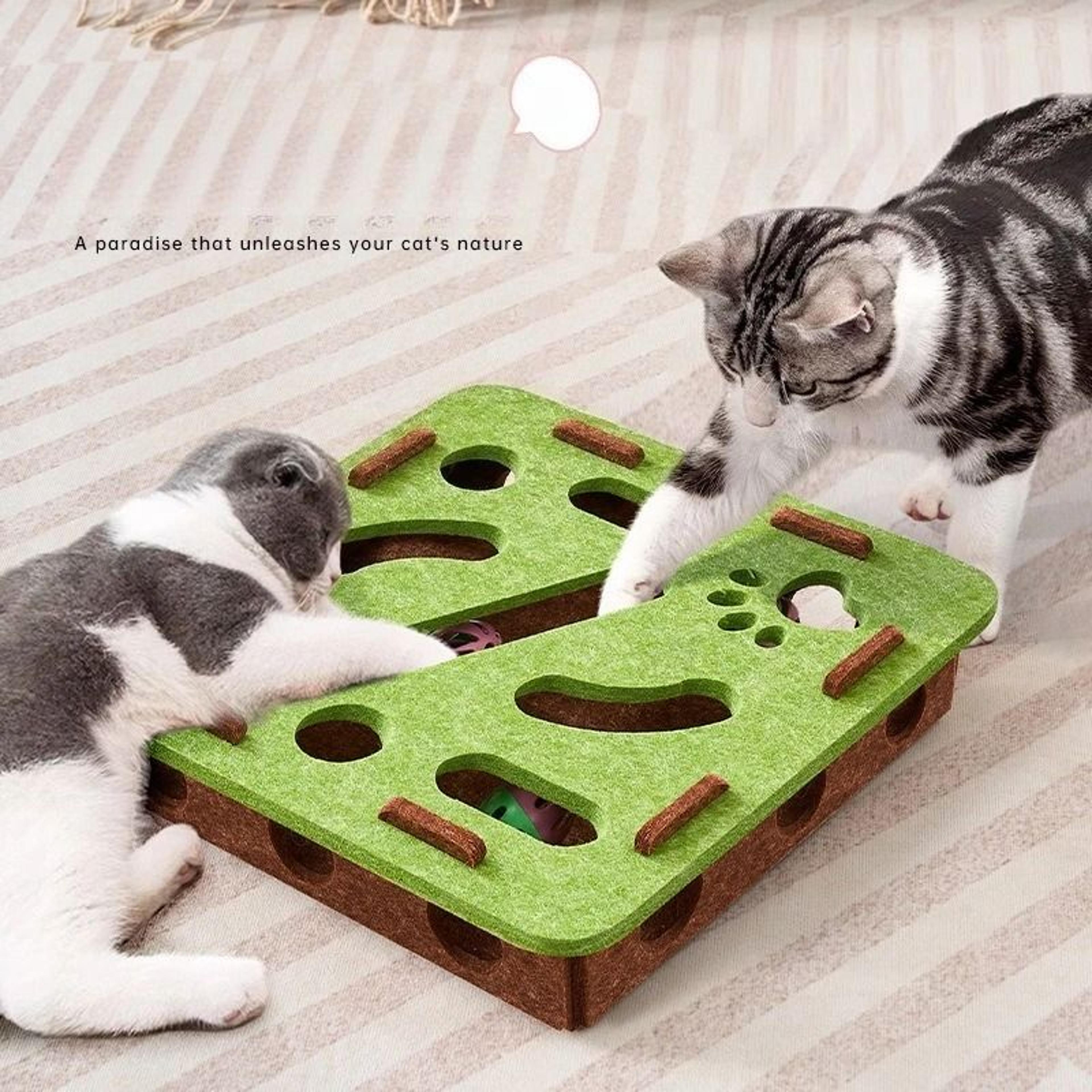sisal cat scratching post for indoor cats with interactive toy