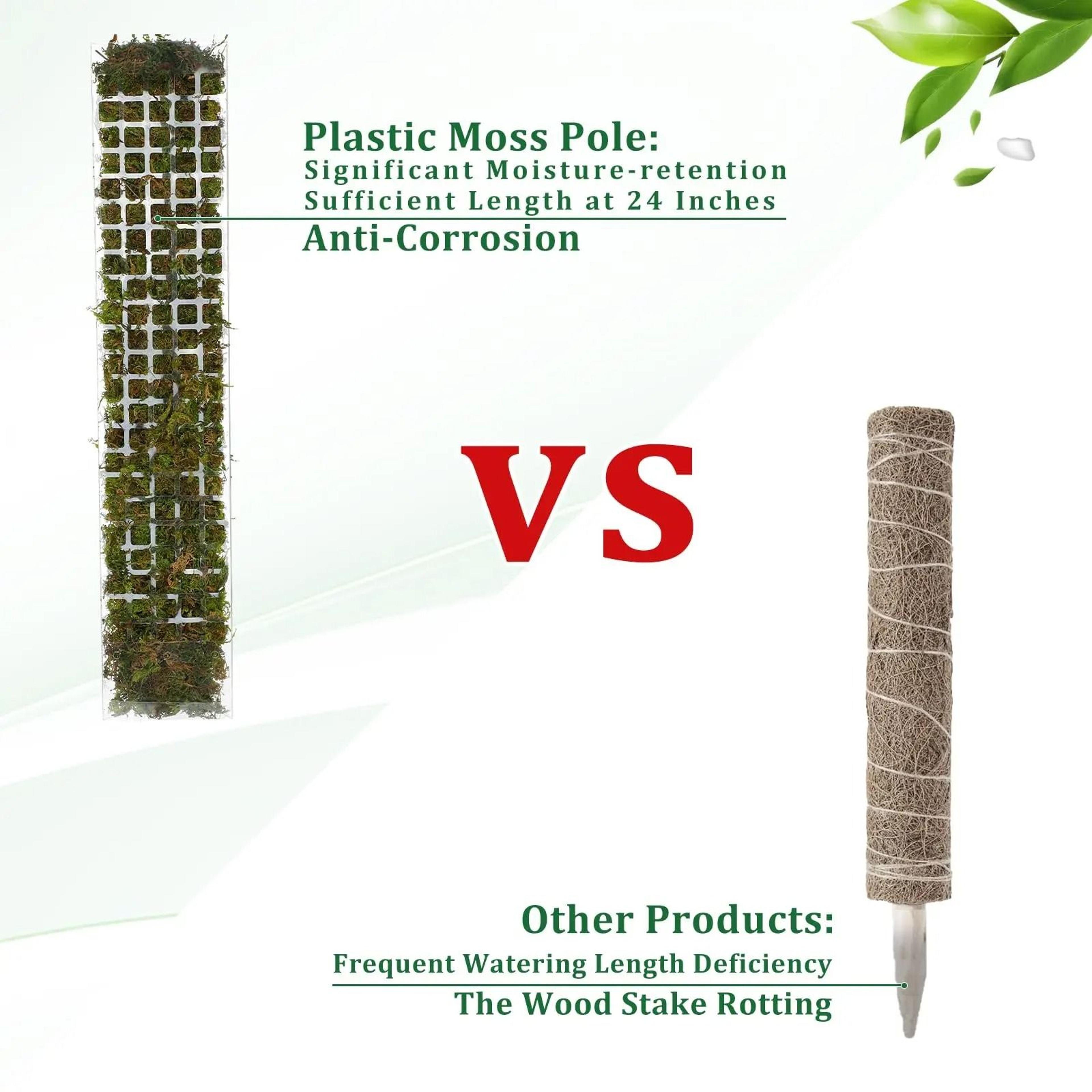 Adjustable Moss Pole Plant Support For Indoor Climbing Plants 2