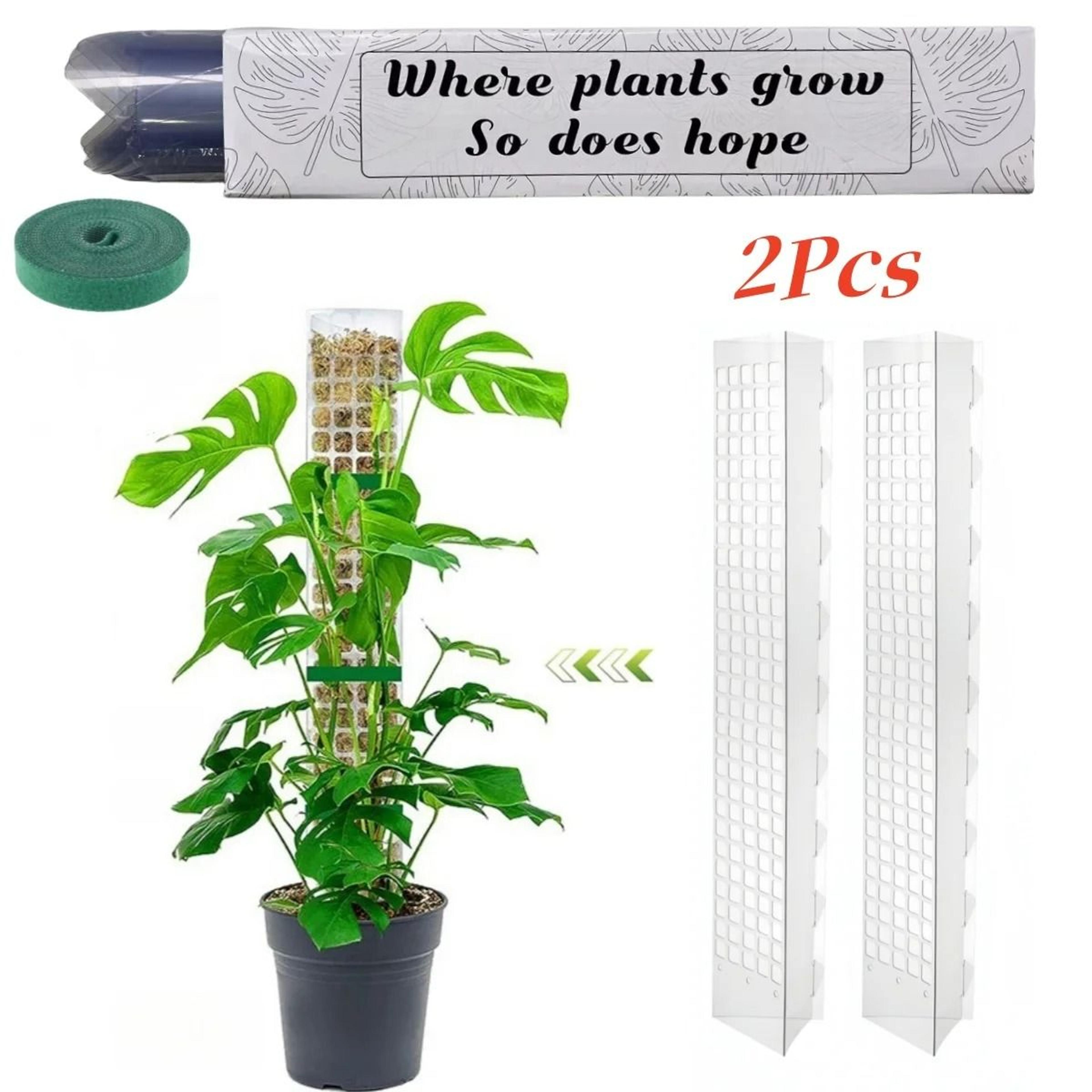 Adjustable Moss Pole Plant Support For Indoor Climbing Plants 7