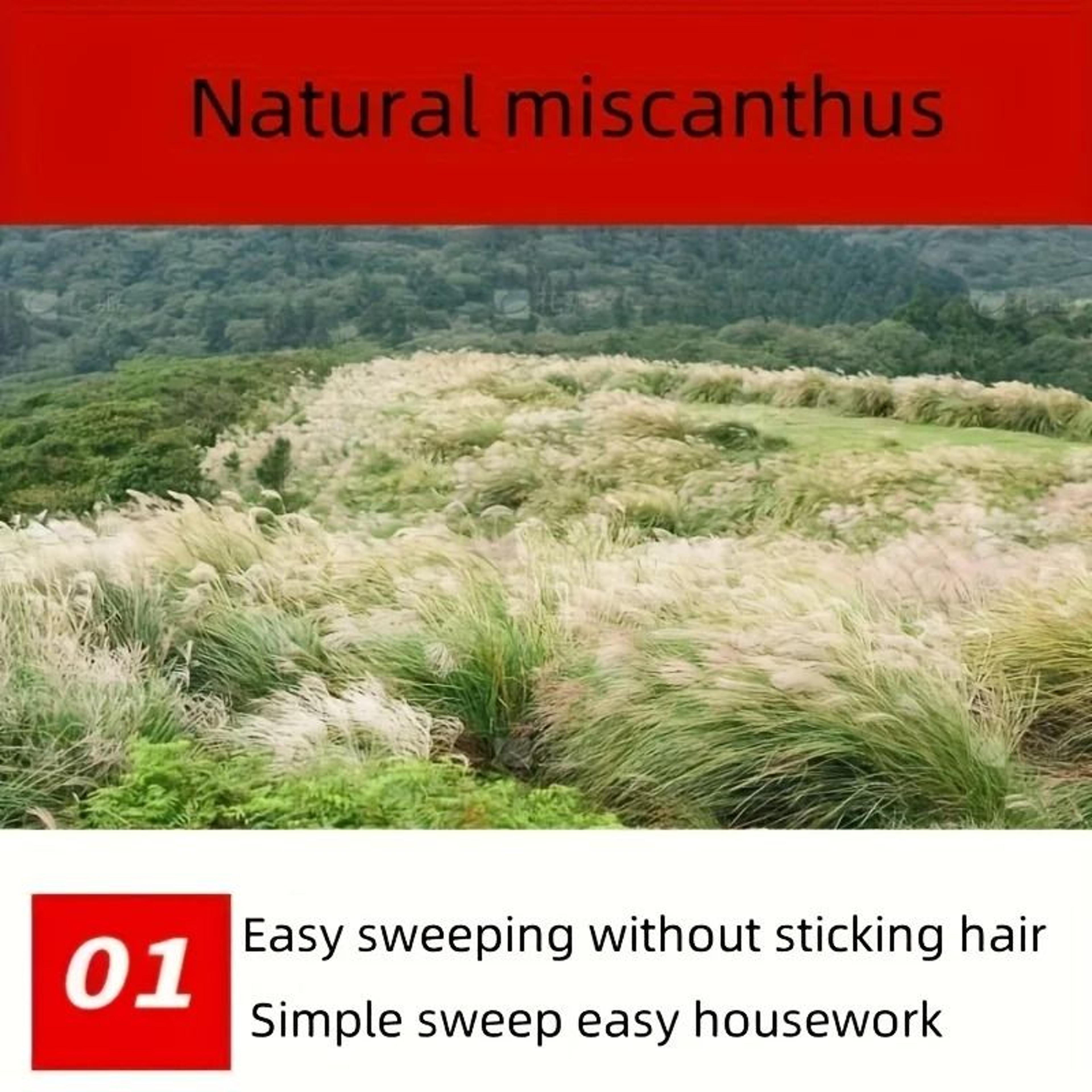 Eco Friendly Hand Woven Mango Broom For Indoor And Outdoor Cleaning 4