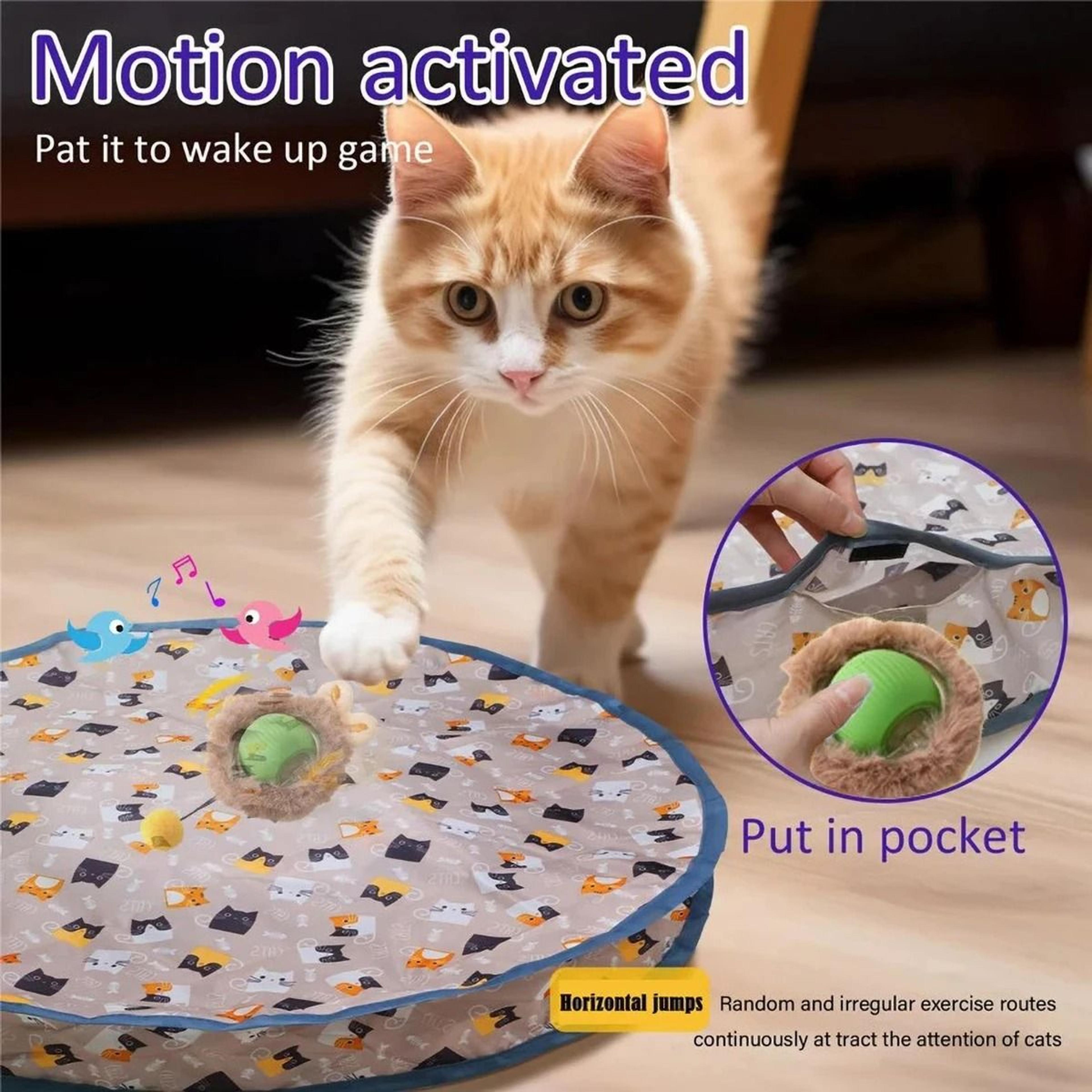 Interactive Cat Chase Toy With Chirping Sound And Random Movement 5