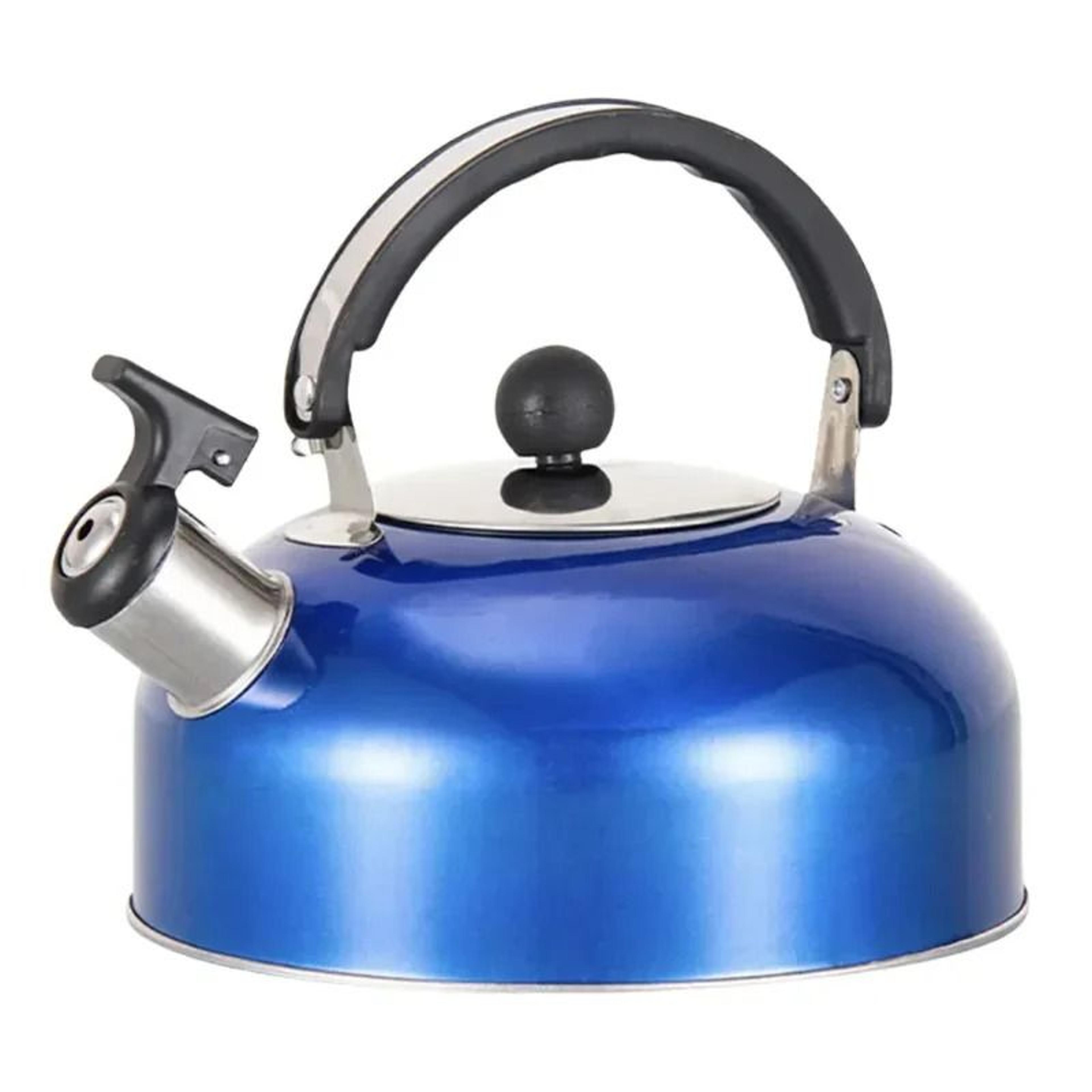 Stainless Steel Whistling Tea Kettle With Heat Resistant Handle 6