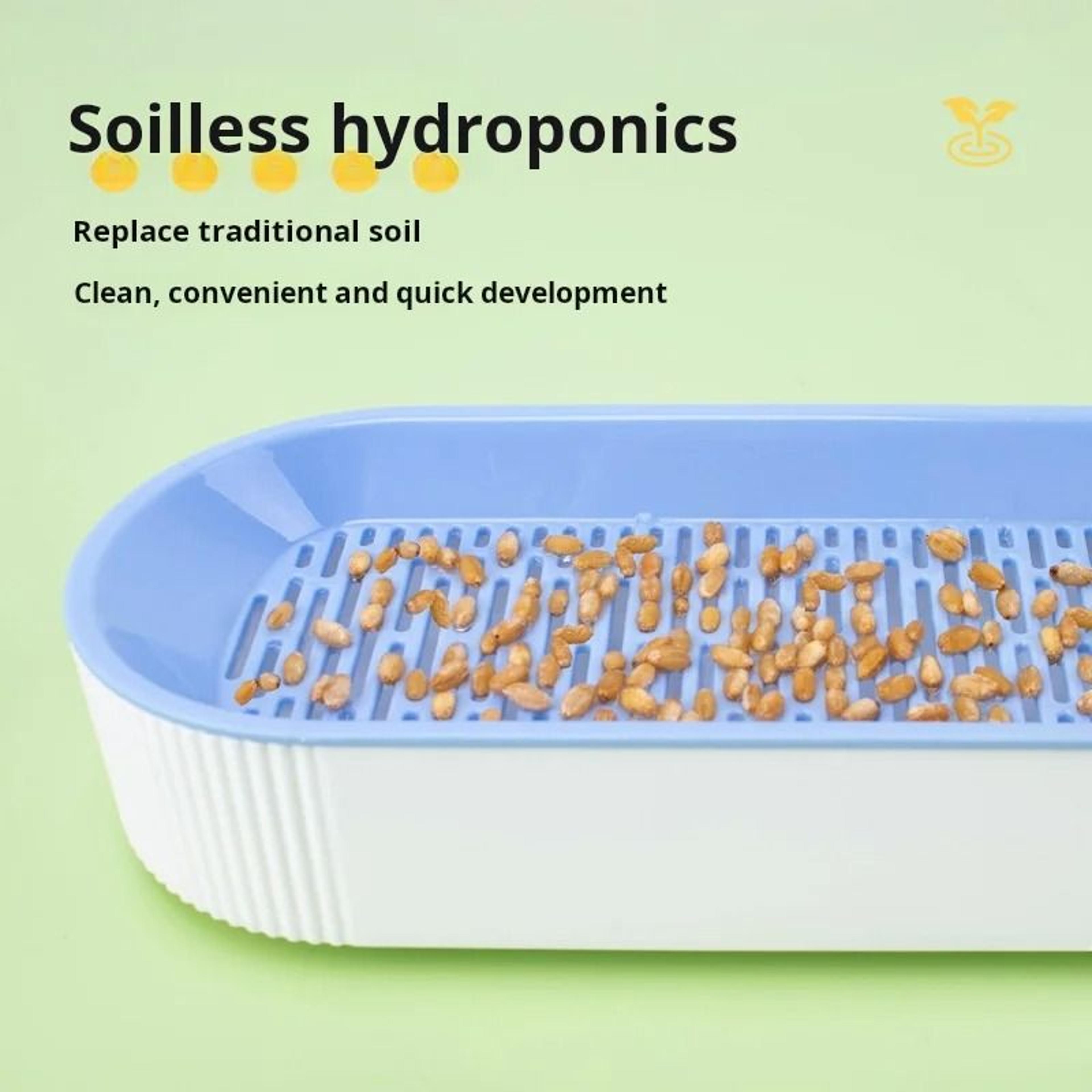 Hydroponic Cat Grass Box For Healthy Catnip Growth 4