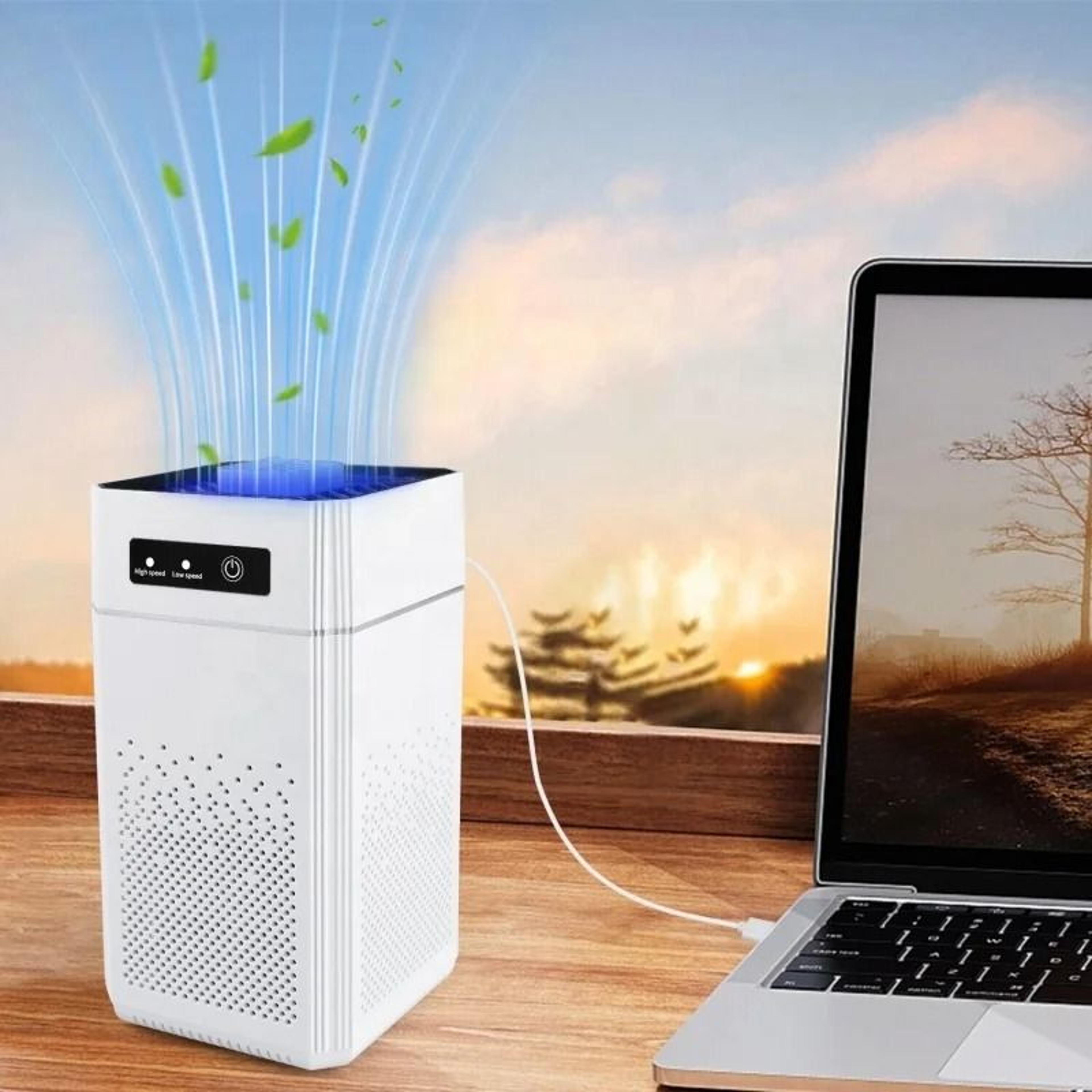 Professional Home Air Purifier With Activated Carbon Negative Ions  Quiet Formaldehyde And Odor Rem 0