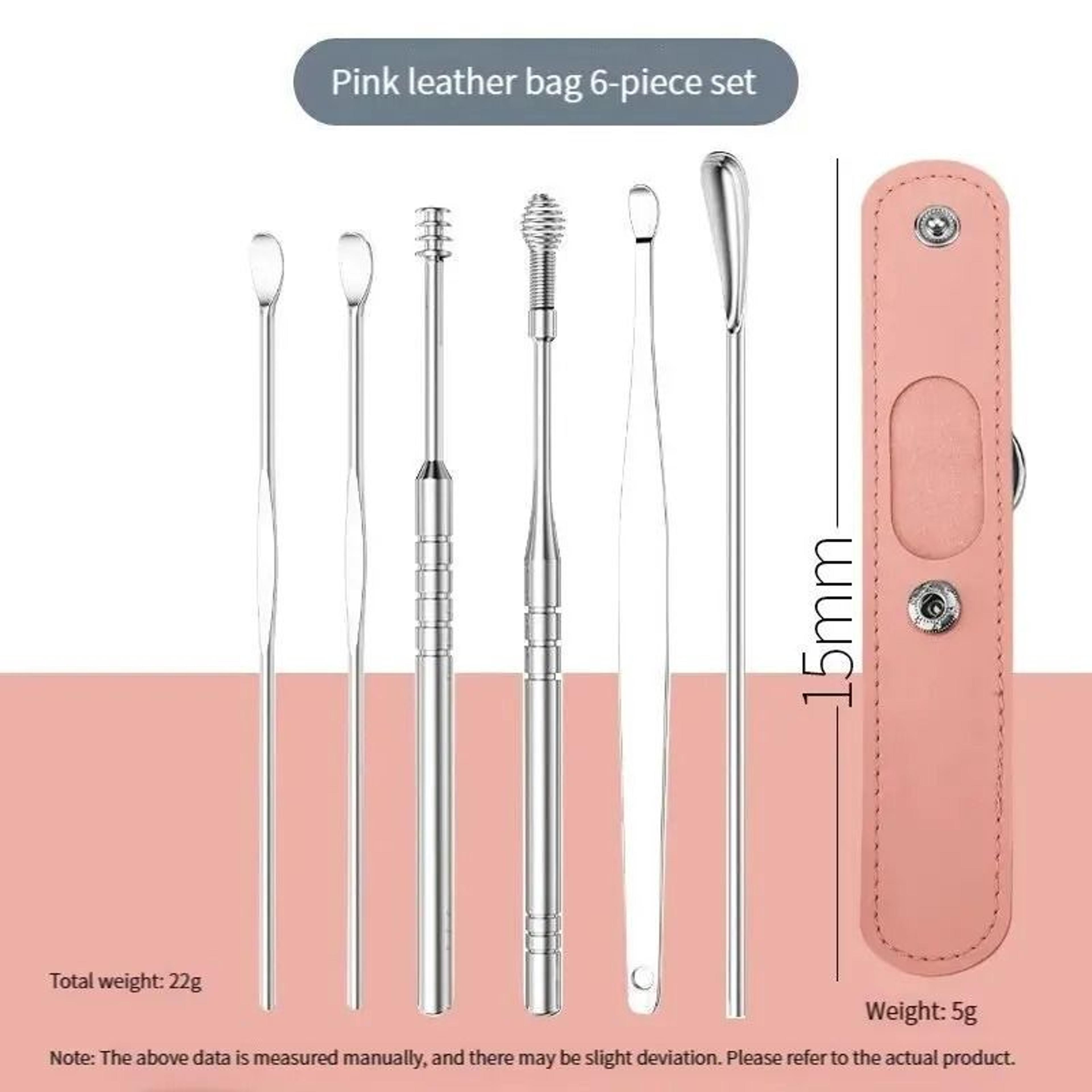 Stainless Steel Ear Cleaning Kit 12