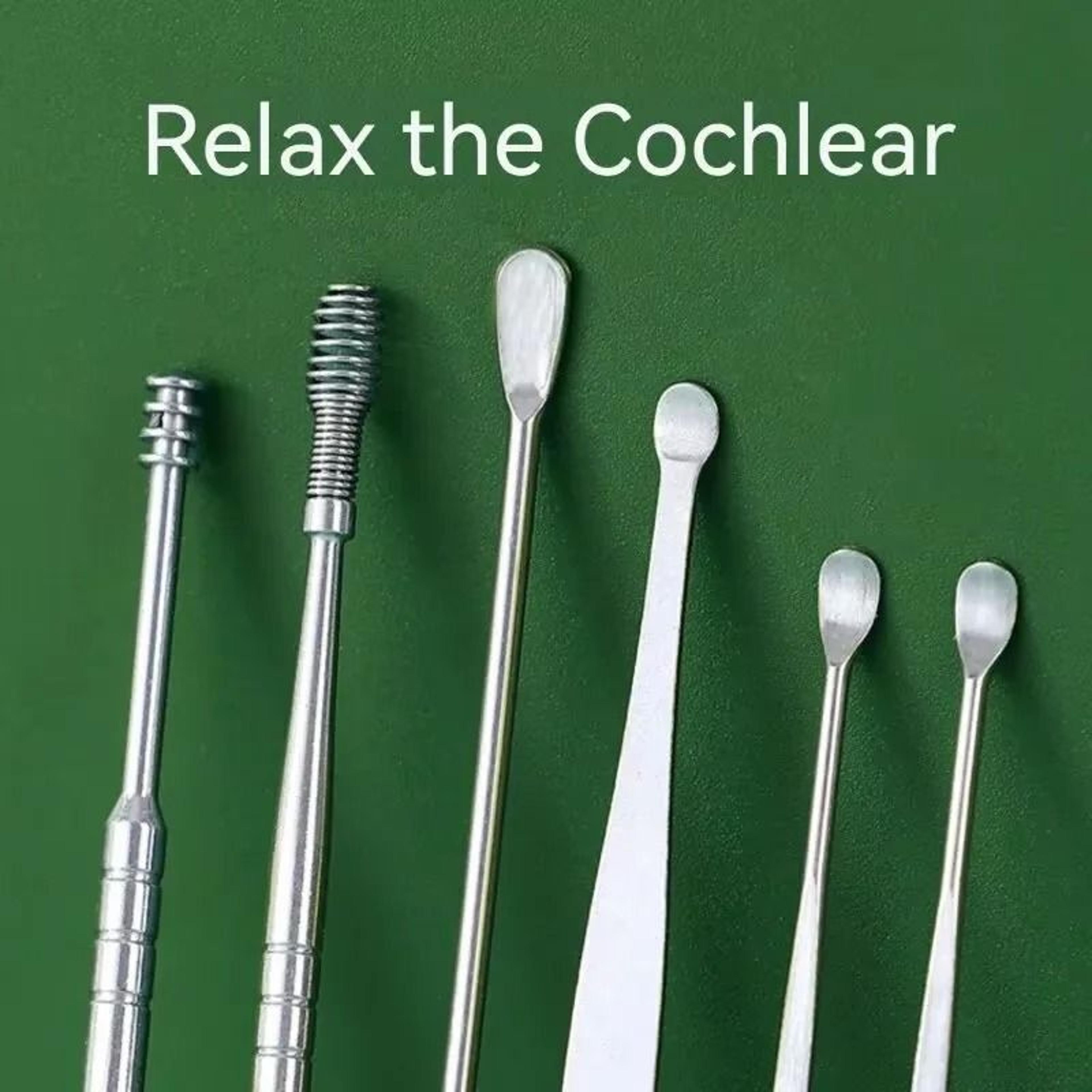 Stainless Steel Ear Cleaning Kit 2