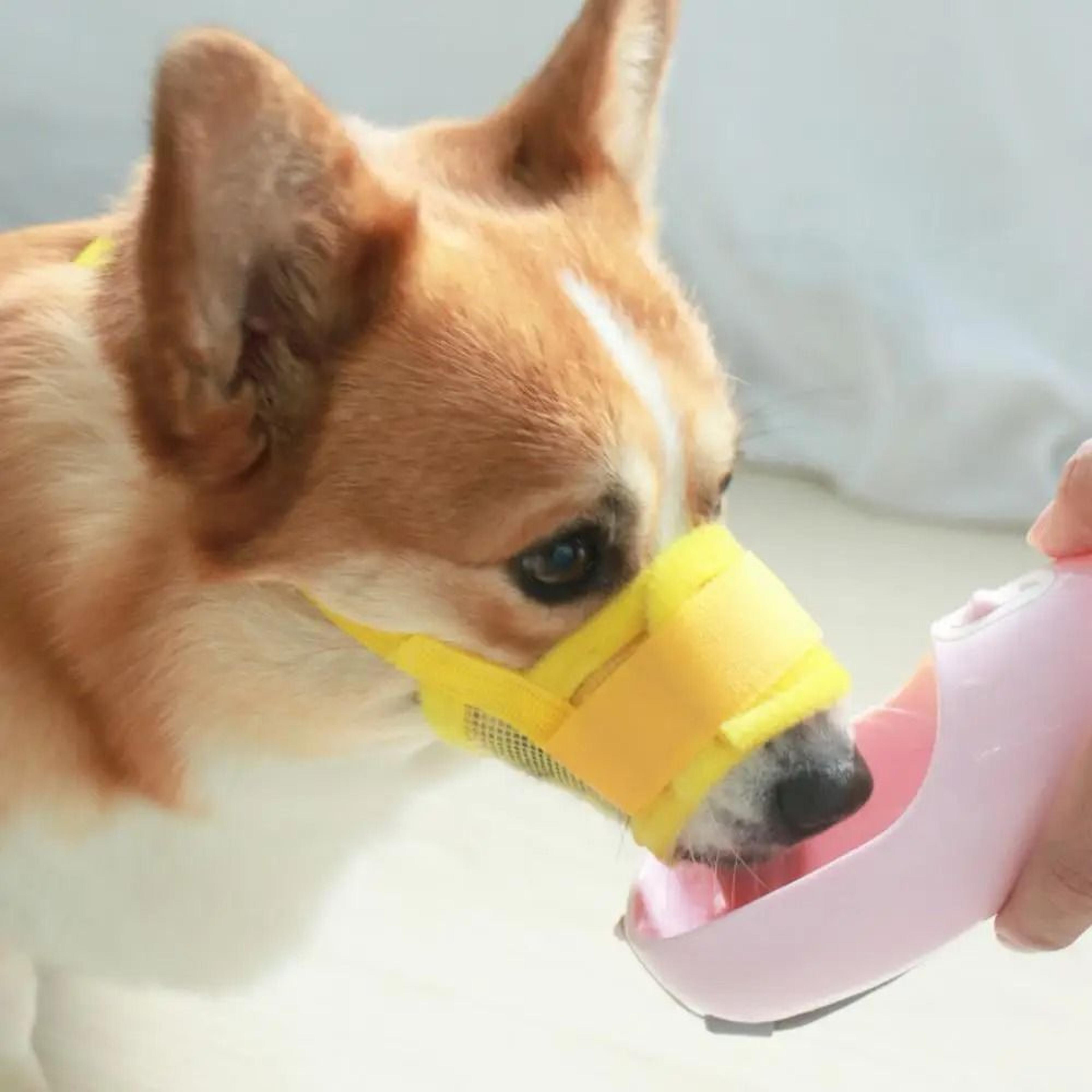 Adjustable Mesh Dog Muzzle  Breathable AntiBarking And AntiBiting Pet Mouth Cover 2